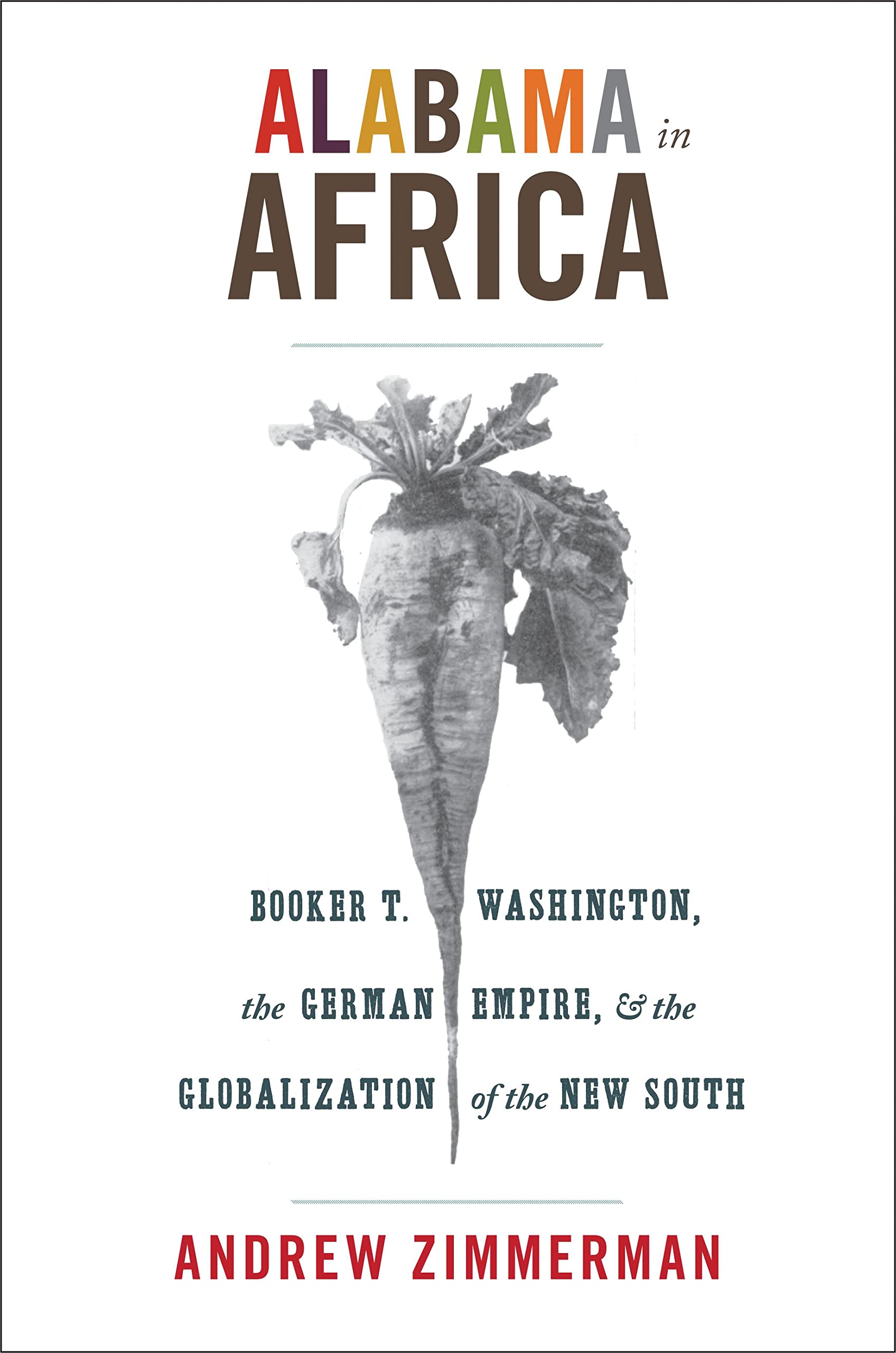Alabama in Africa: Booker T. Washington, the German Empire, and the Globalization of the New South book