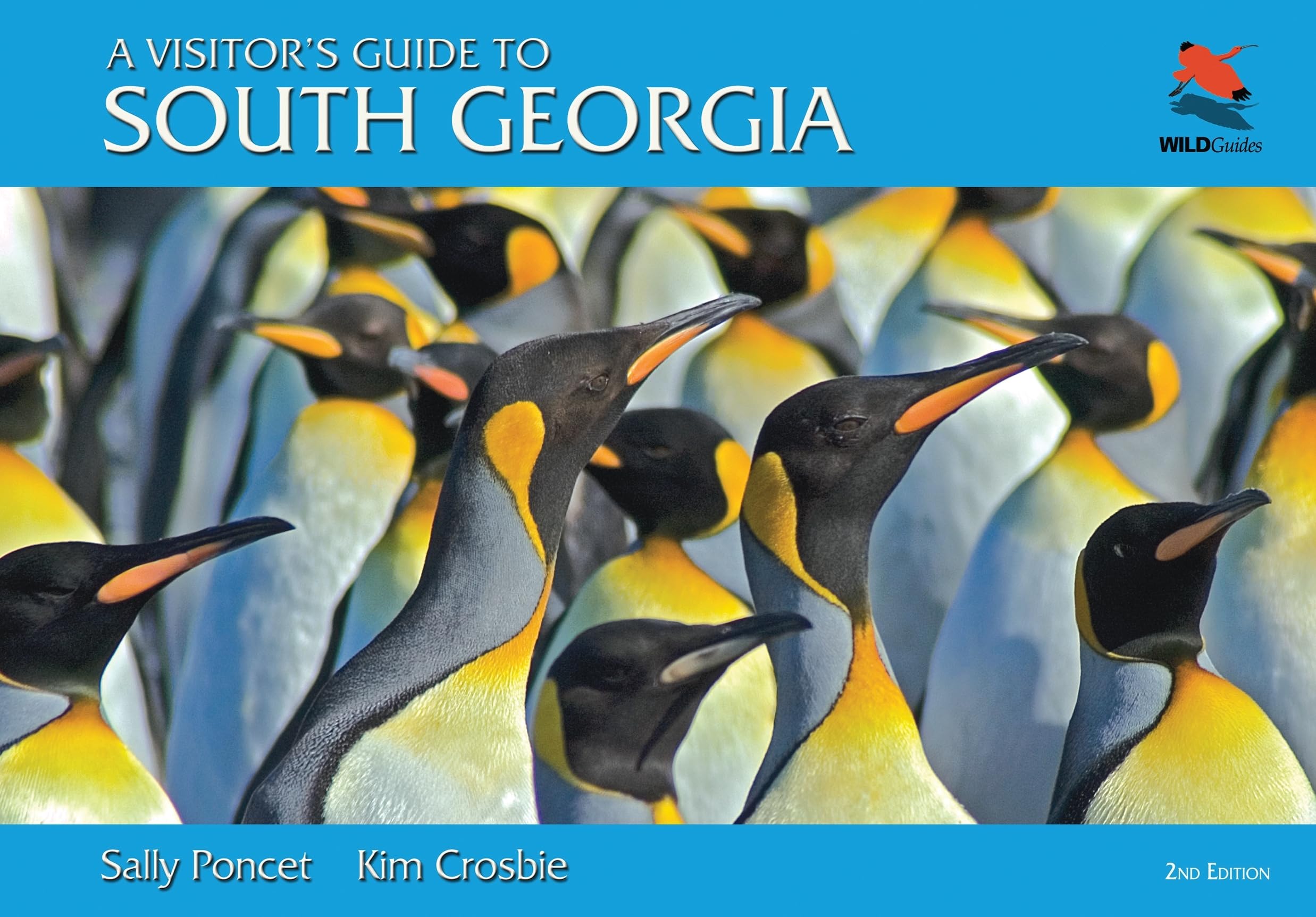 Visitor's Guide to South Georgia: The Essential Guide for Any Visitor (Wild Guides) Mathematics