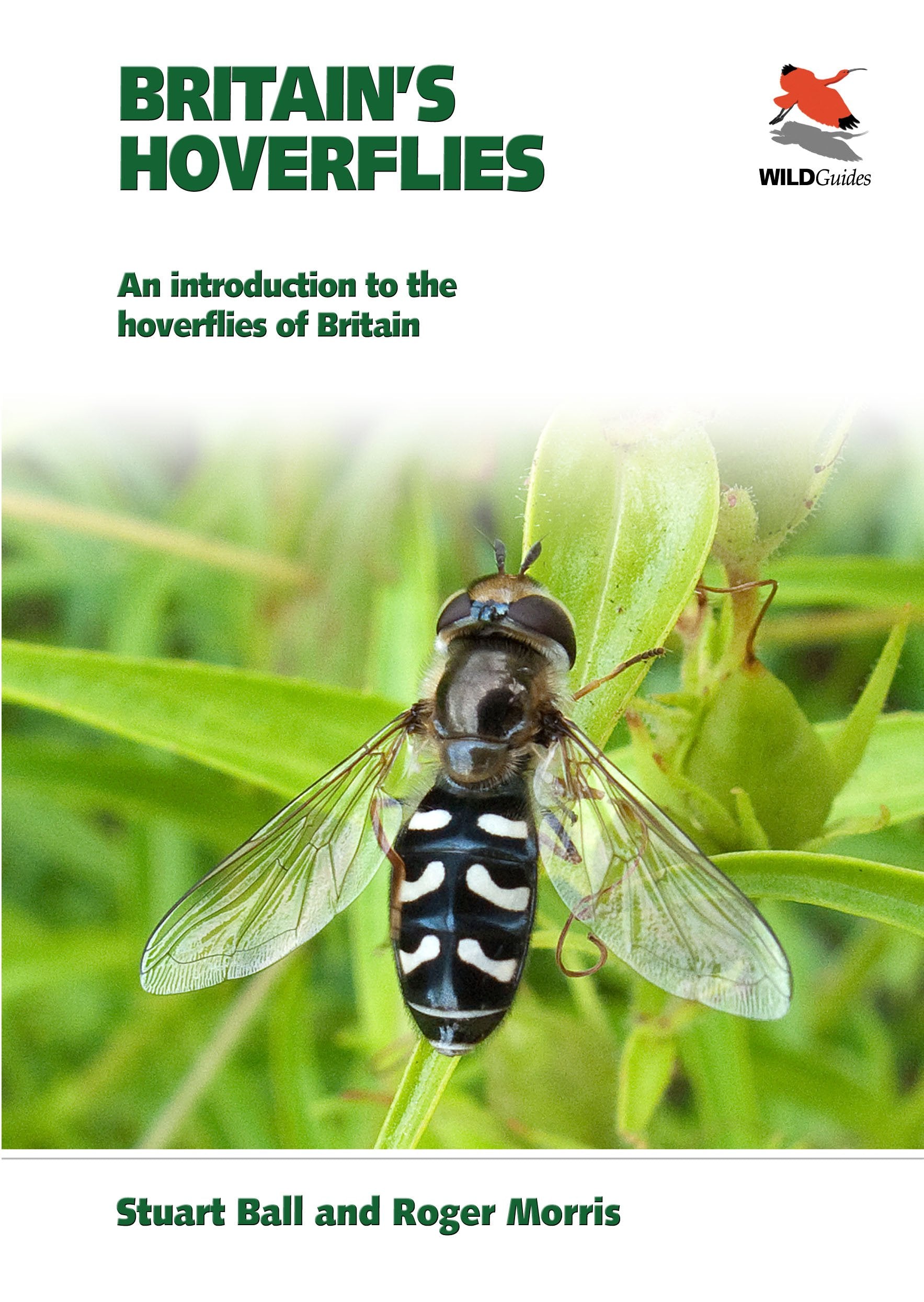 Britain's Hoverflies: An introduction to the hoverflies of Britain (Britain's Wildlife) Mathematics
