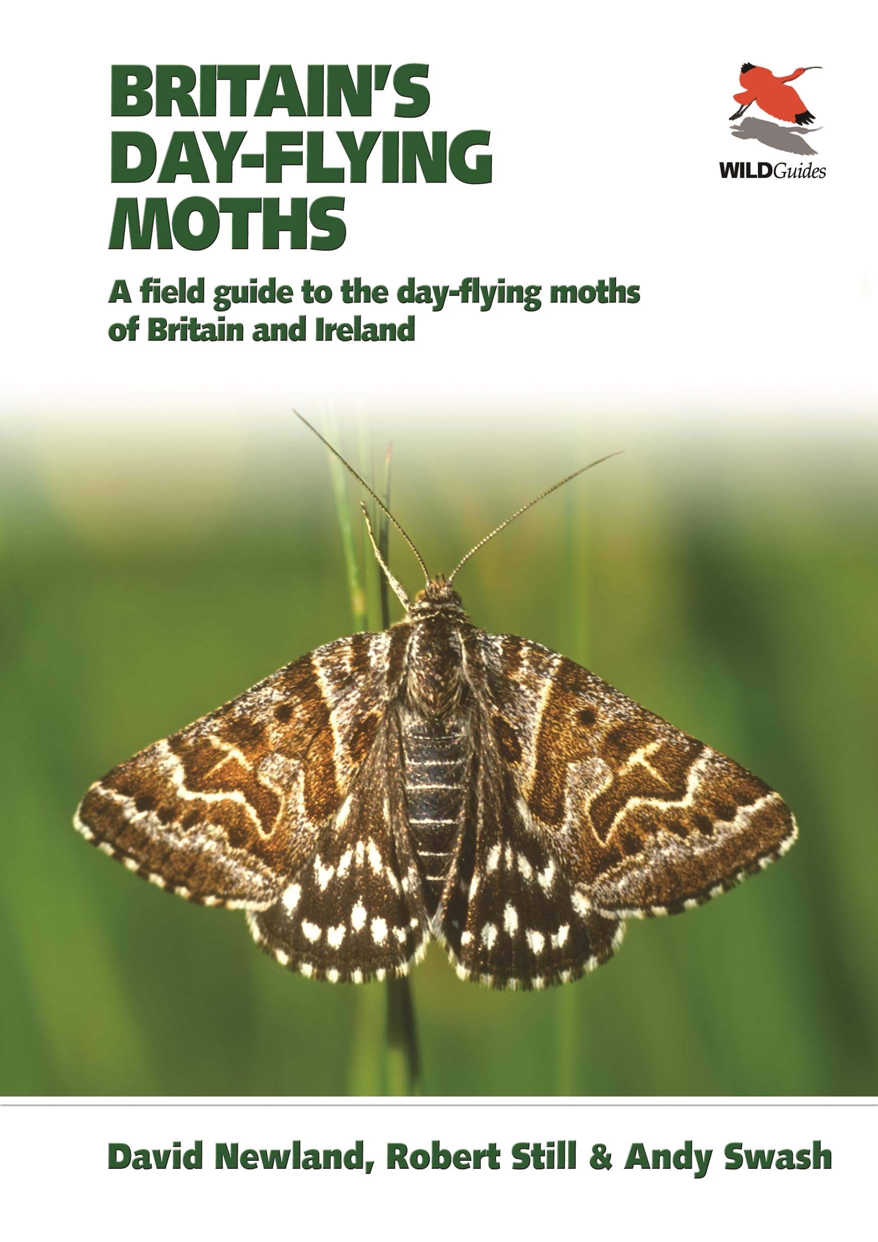 Britain's Day-flying Moths: A Field Guide to the Day-flying Moths of Britain and Ireland (Wild Guides) Mathematics