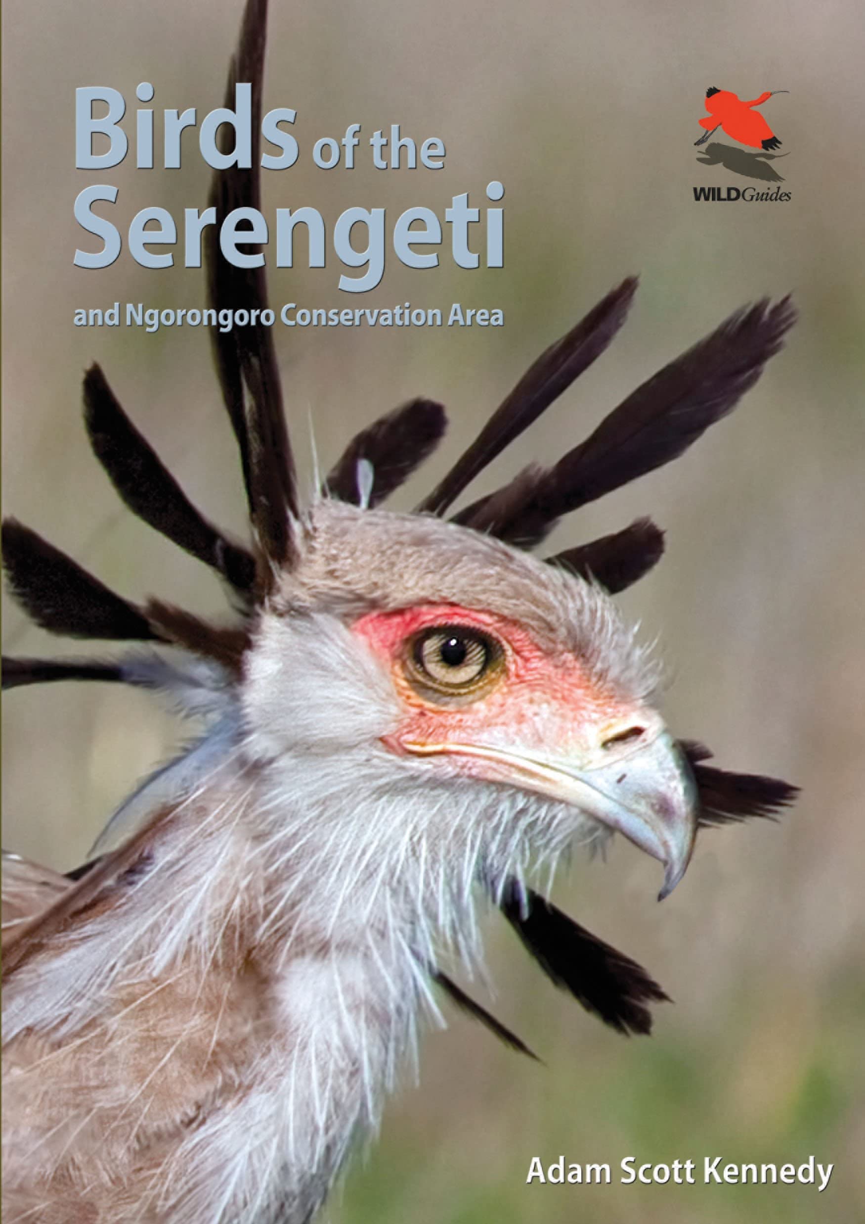 Birds of the Serengeti and Ngorongoro Conservation Area (Wildlife Guides) Mathematics