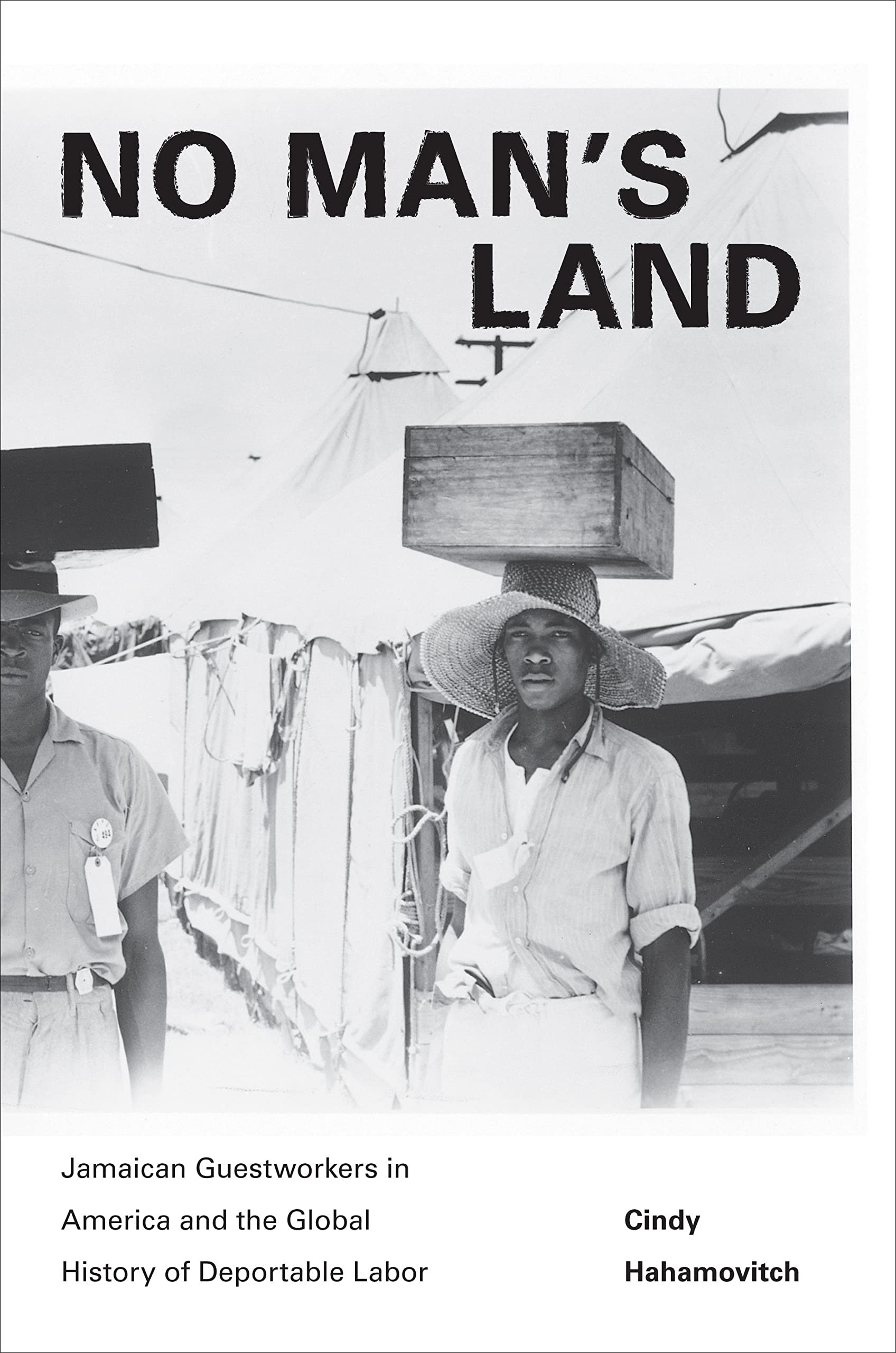 No Man's Land: Jamaican Guestworkers in America and the Global History of Deportable Labor (Politics and Society in Twentieth-Century America) Law