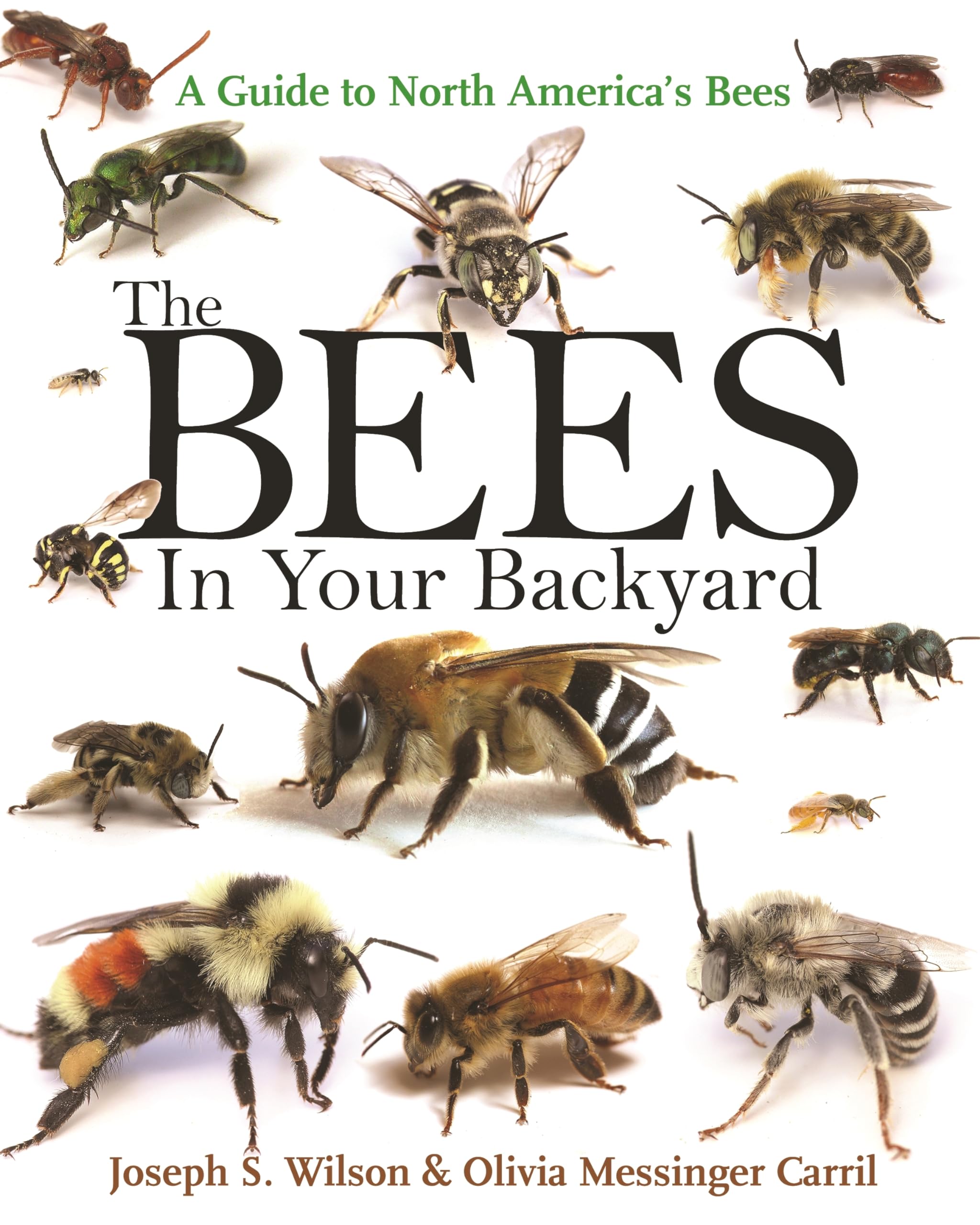 The Bees in Your Backyard: A Guide to North America's Bees Mathematics