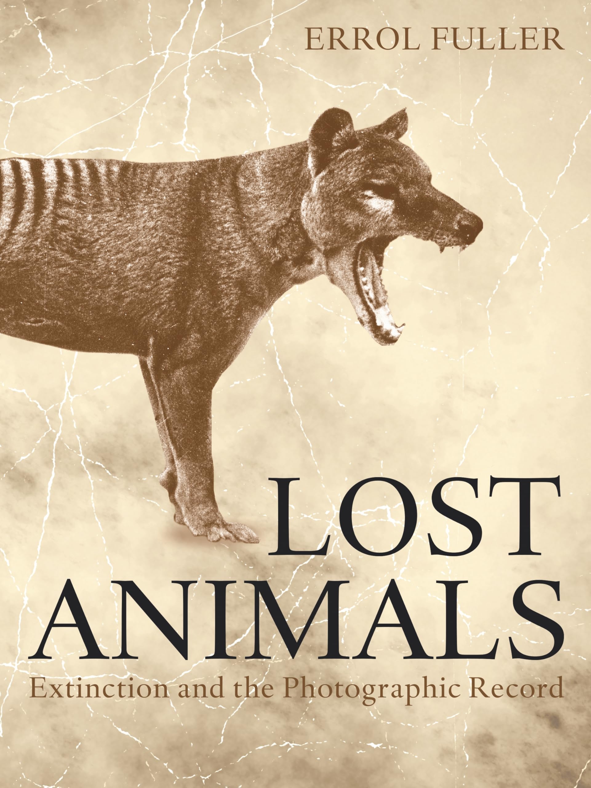 Lost Animals: Extinction and the Photographic Record Mathematics