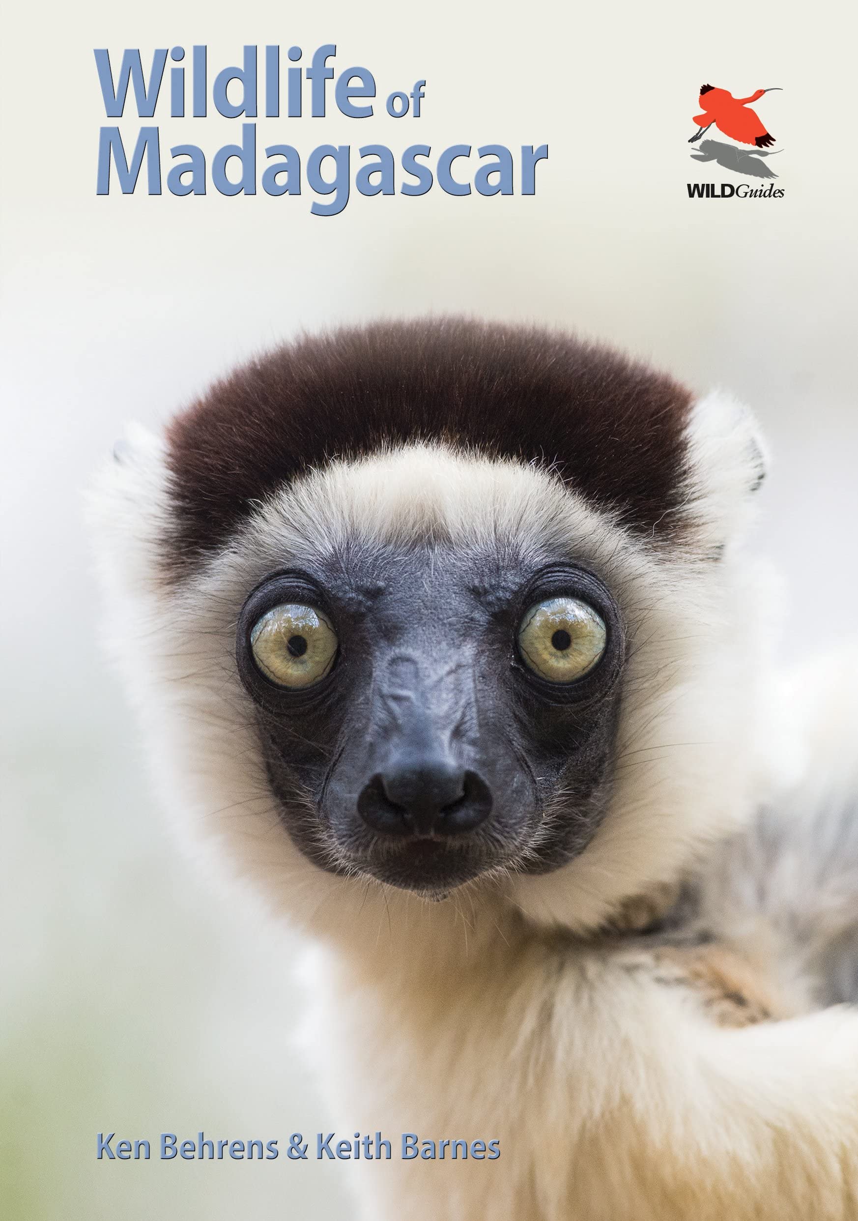 Wildlife of Madagascar (Wildguides) Mathematics