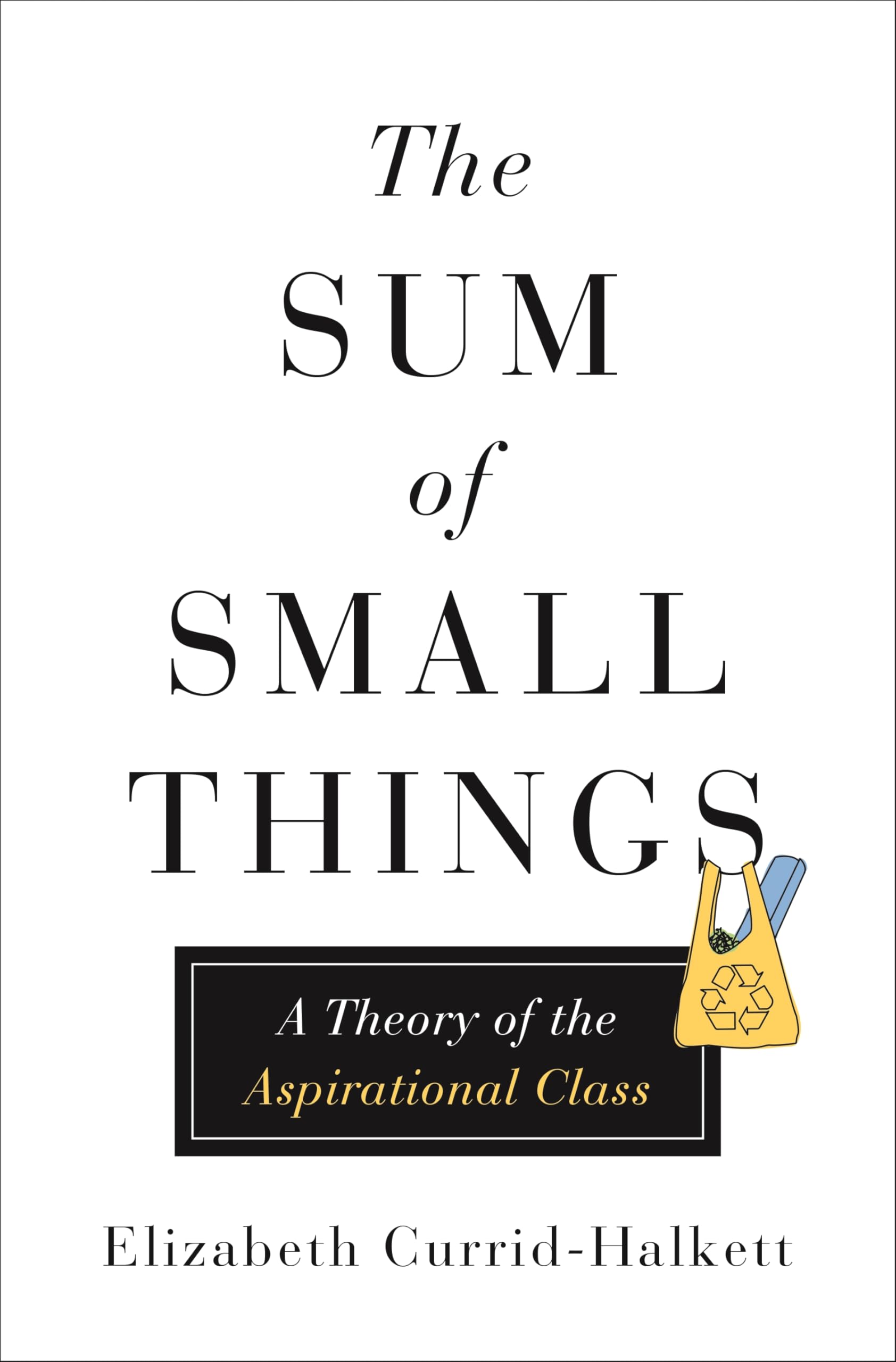 Sum of Small Things: A Theory of the Aspirational Class Law