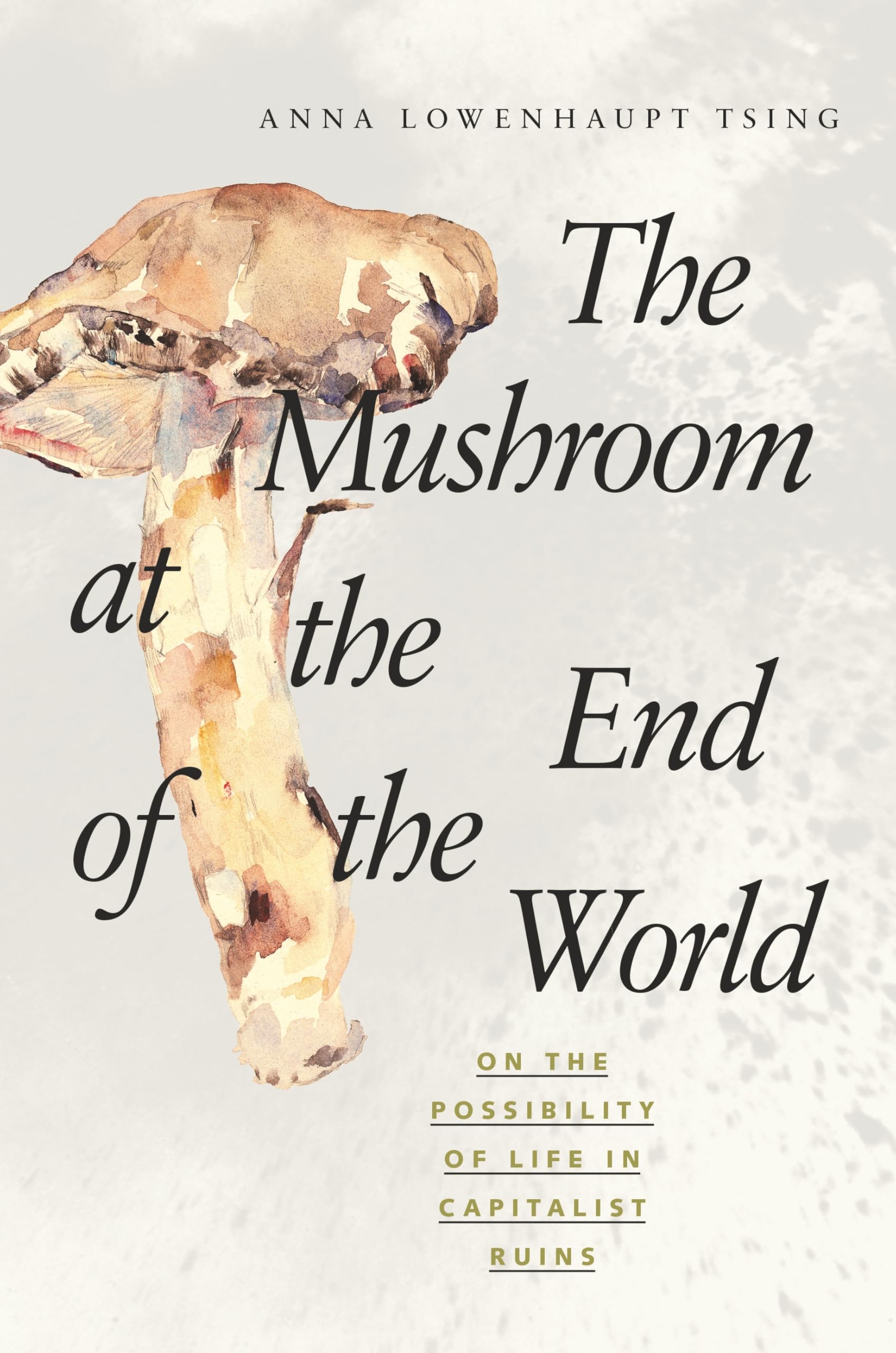 The Mushroom at the End of the World: On the Possibility of Life in Capitalist Ruins General education