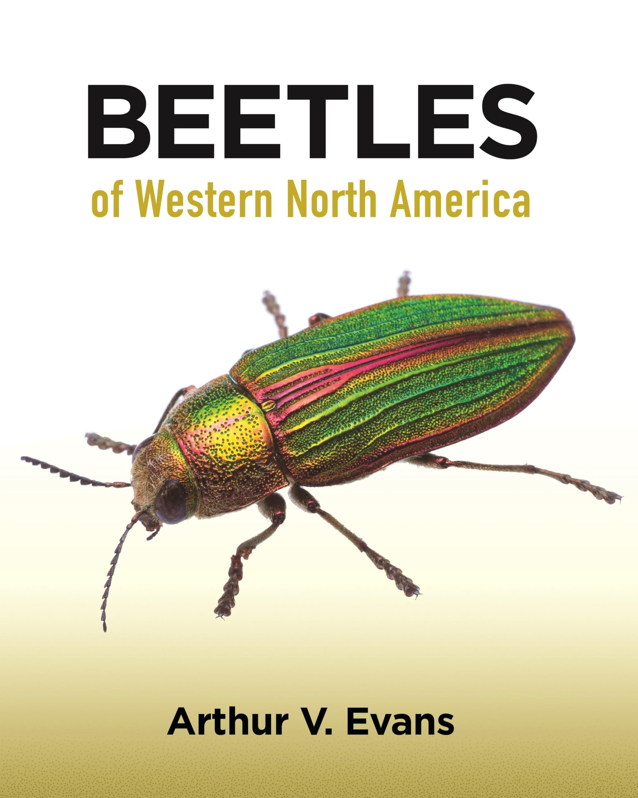Beetles of Western North America Mathematics