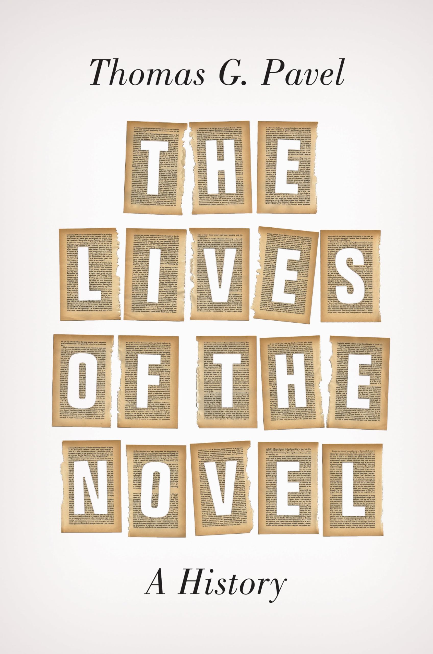 The Lives of the Novel book