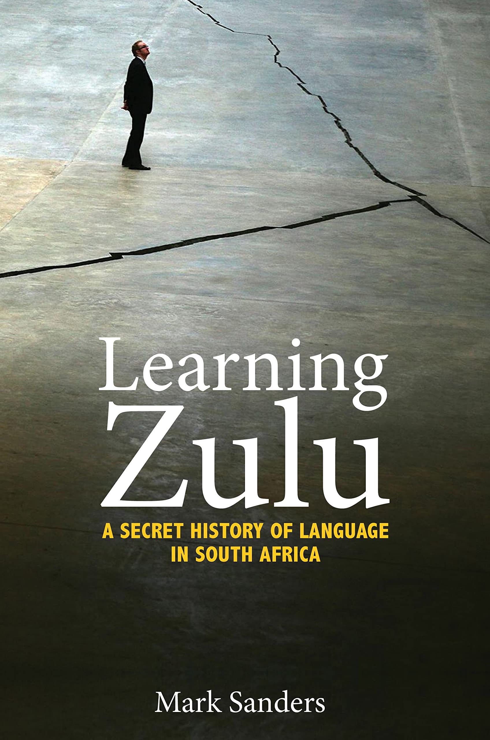 Learning Zulu: A Secret History of Language in South Africa (Translation/Transnation) Social Sciences