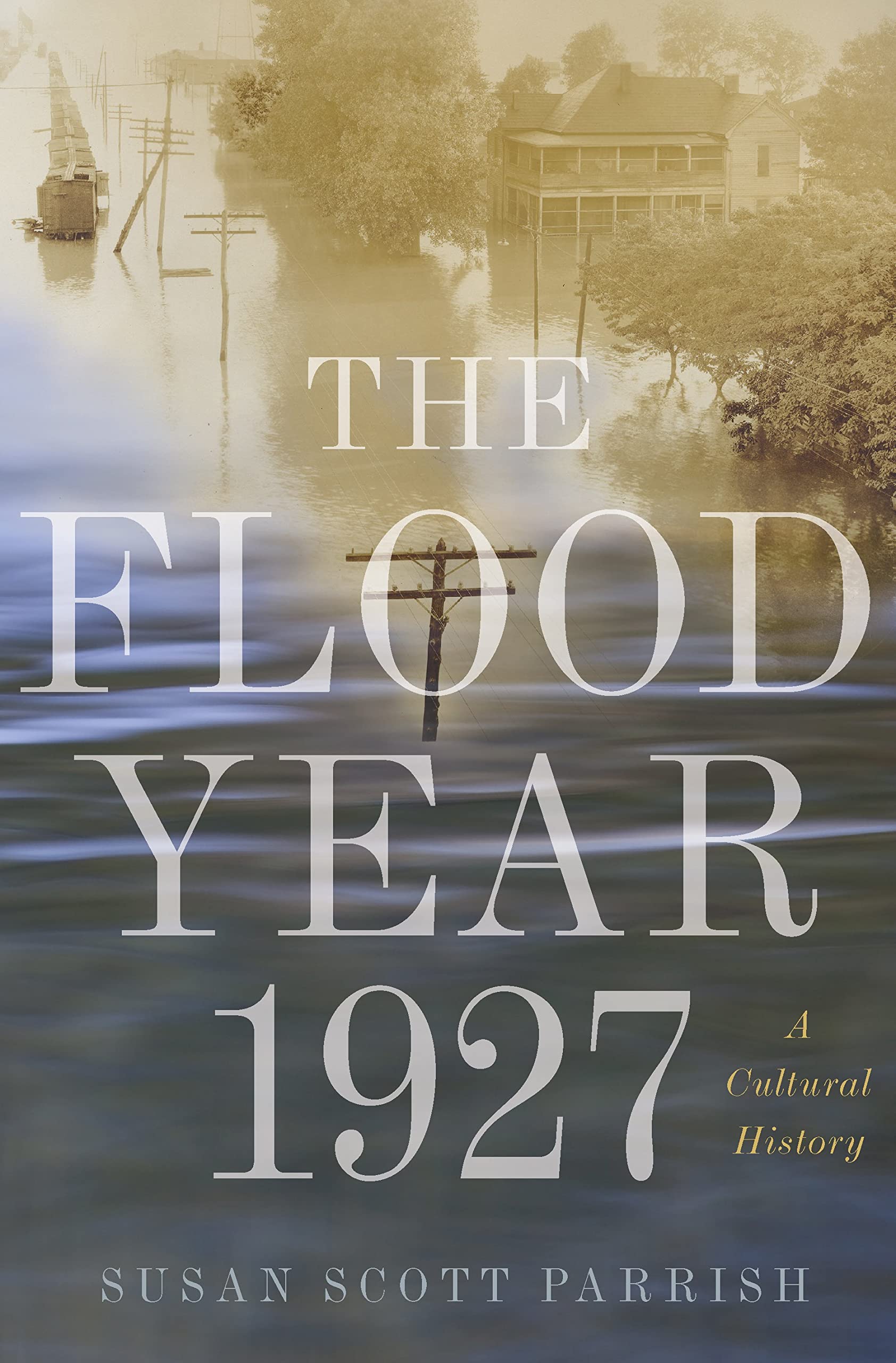 The Flood Year 1927: A Cultural History Books