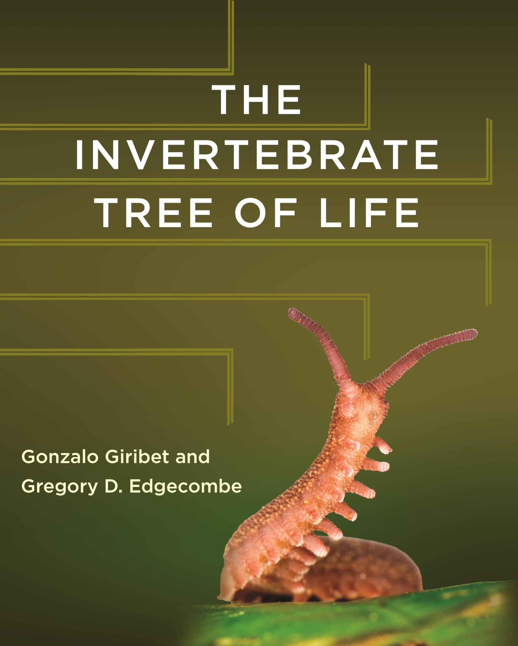 The Invertebrate Tree of Life Natural Sciences