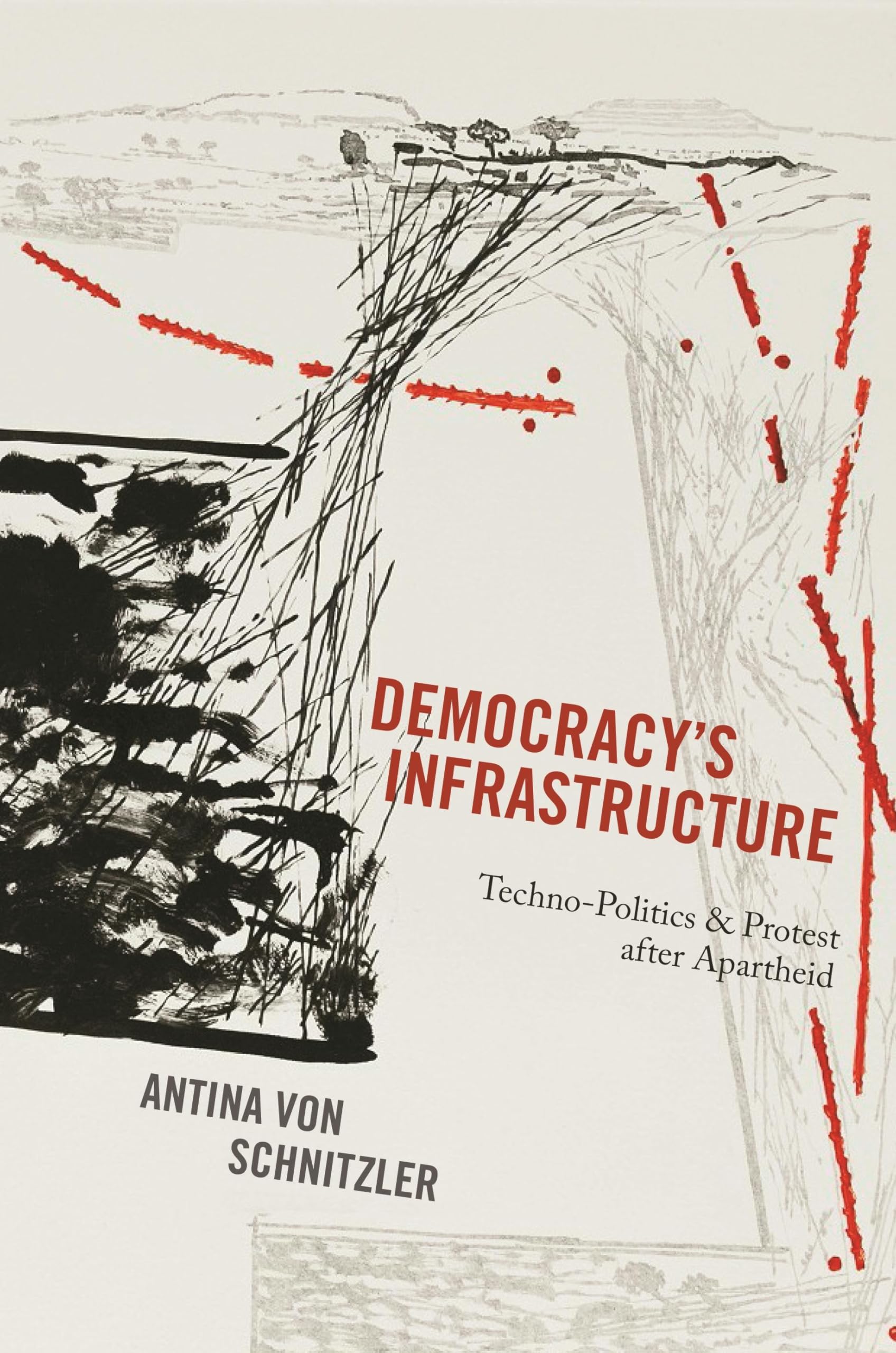 Democracy's Infrastructure: Techno-Politics and Protest After Apartheid book