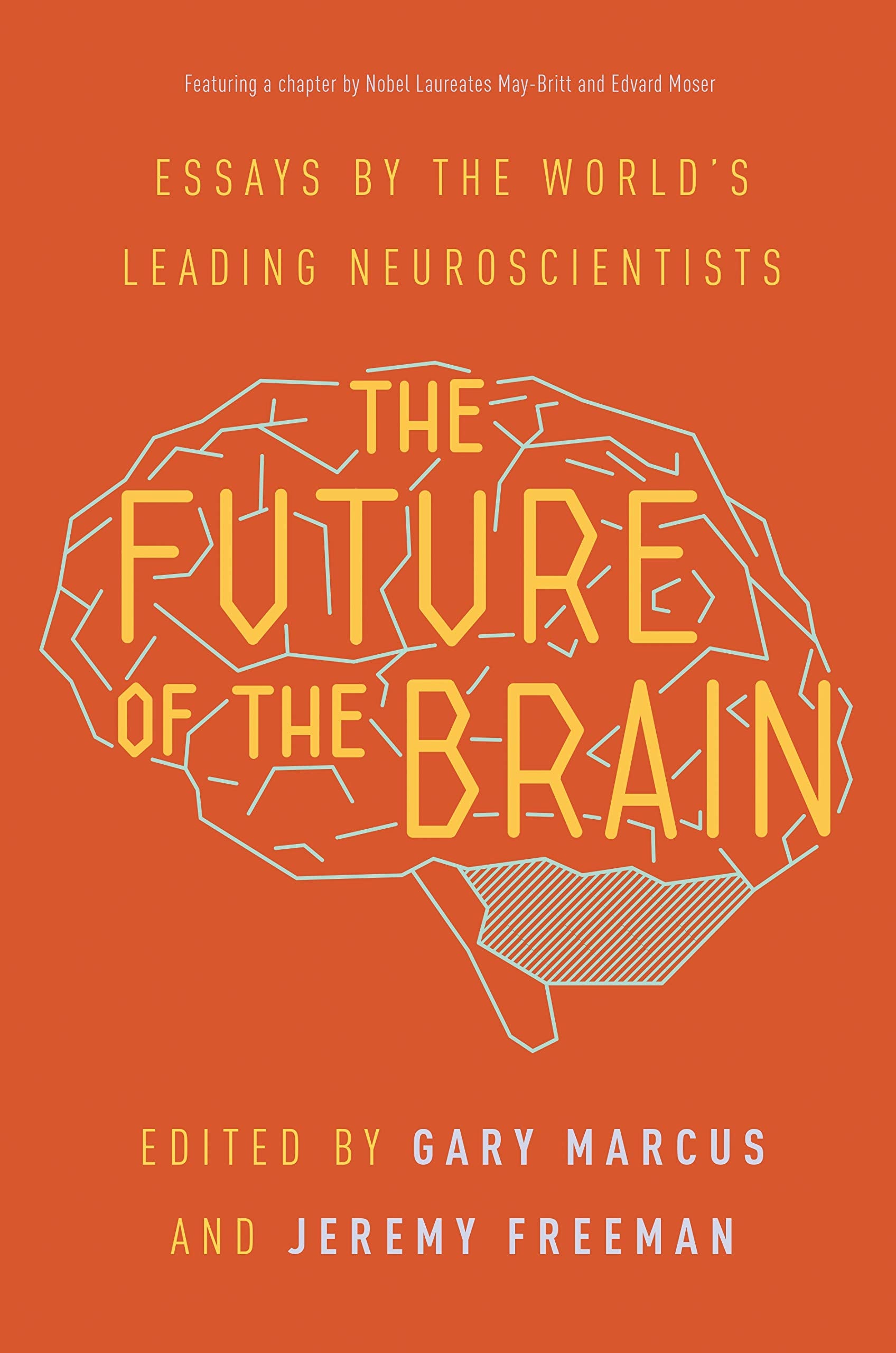 Product Image: The Future of the Brain