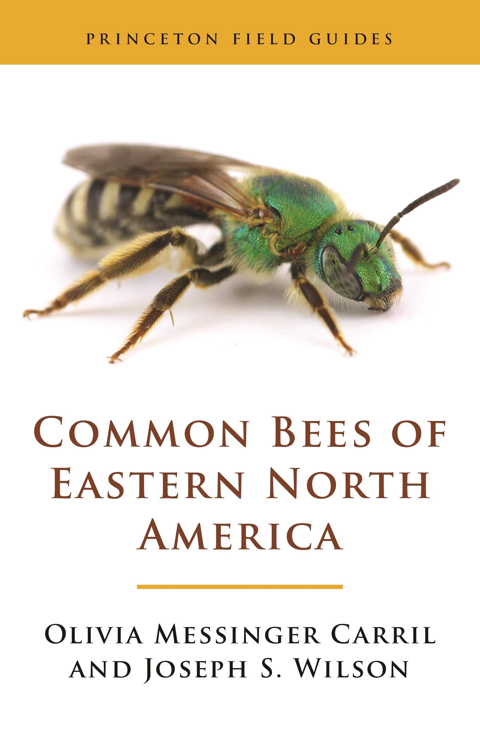 Common Bees of Eastern North America (Princeton Field Guides) Mathematics