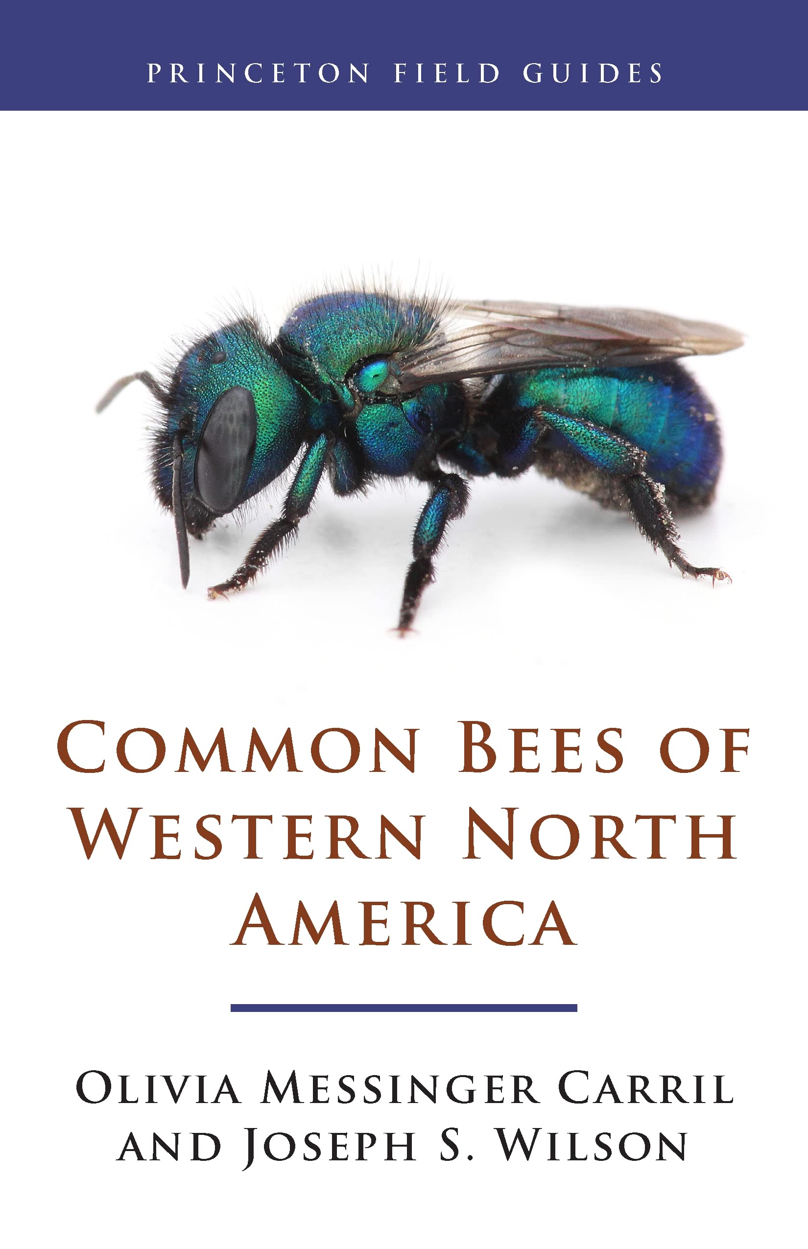 Common Bees of Western North America (Princeton Field Guides, 124) Mathematics