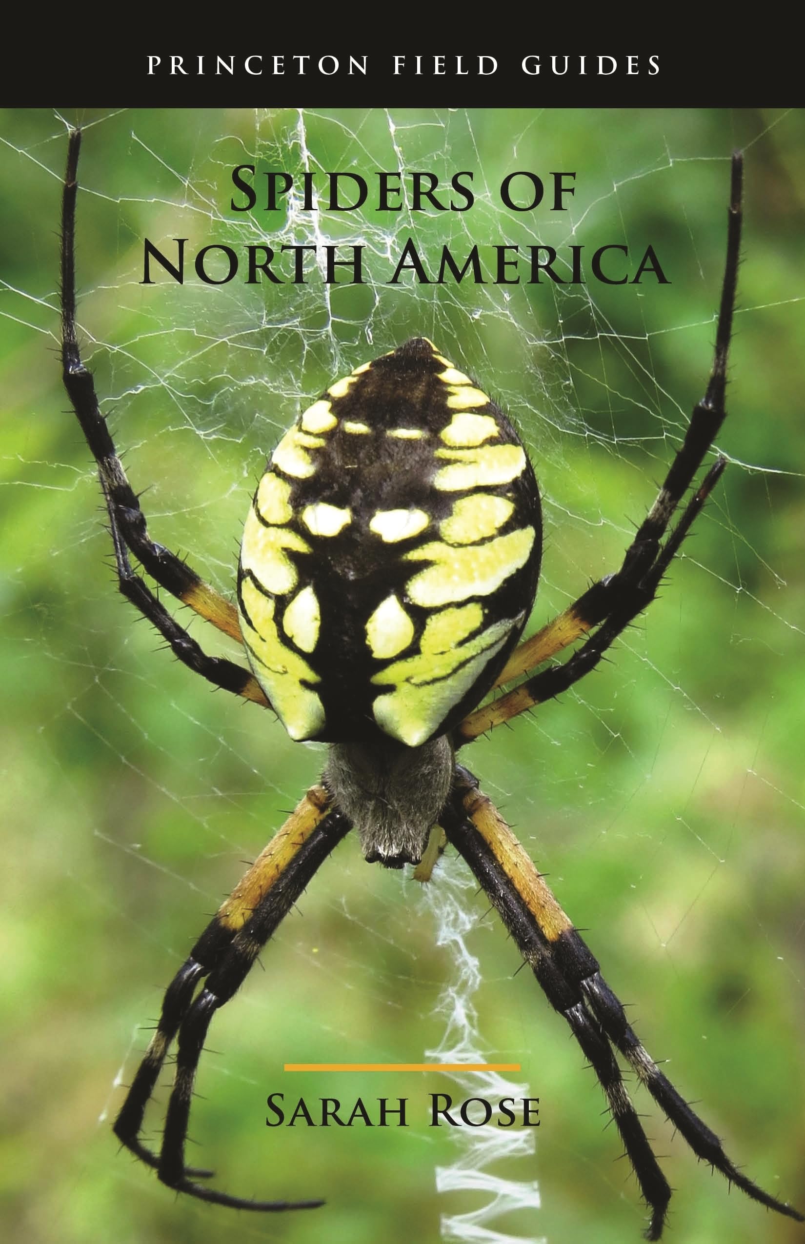 Spiders of North America (Princeton Field Guides, 126) Mathematics
