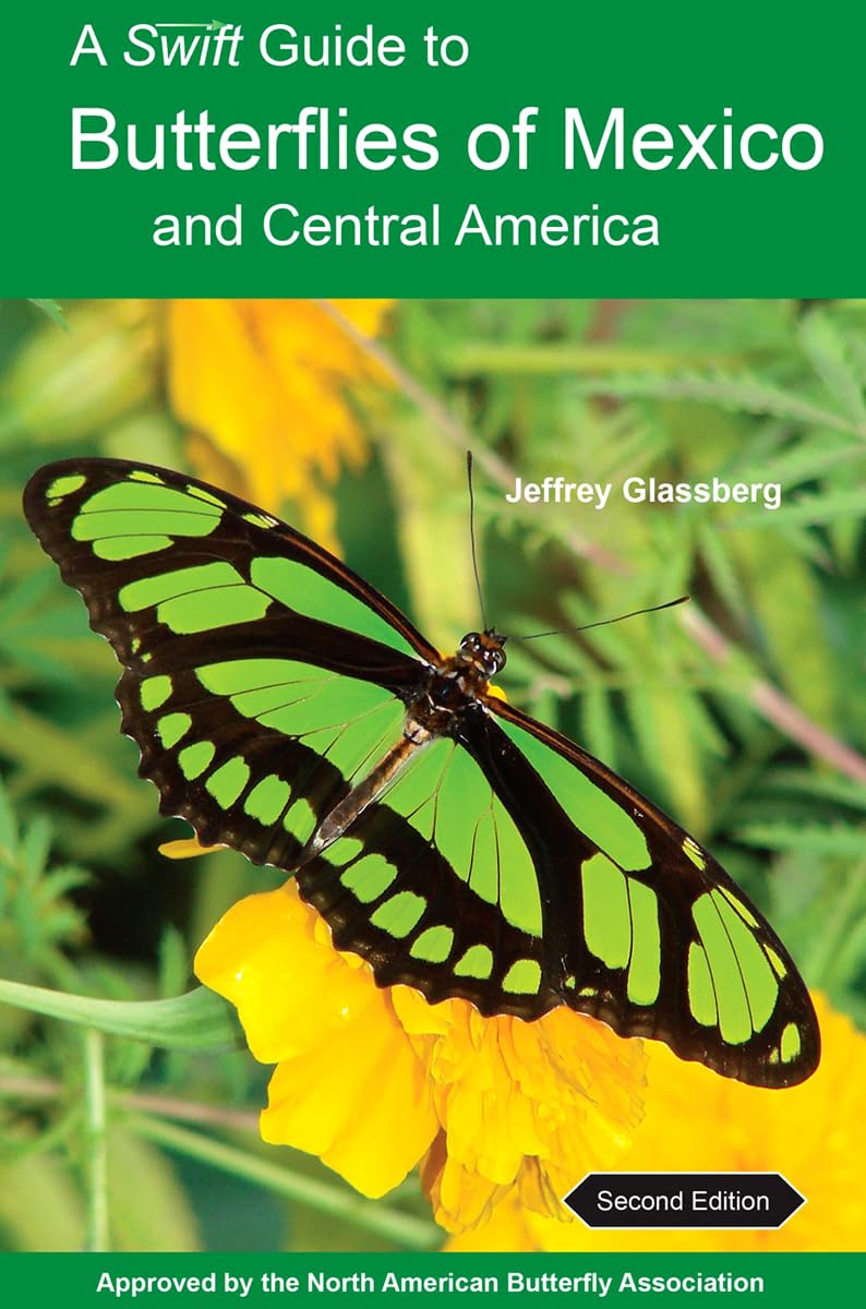 A Swift Guide to Butterflies of Mexico and Central America: Second Edition Leisure, Home & Garden