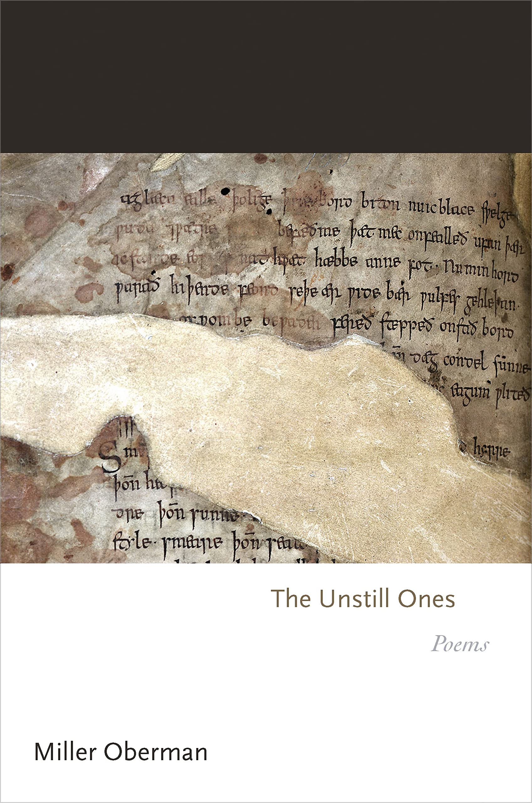 The Unstill Ones: Poems (Princeton Series of Contemporary Poets) Poetry