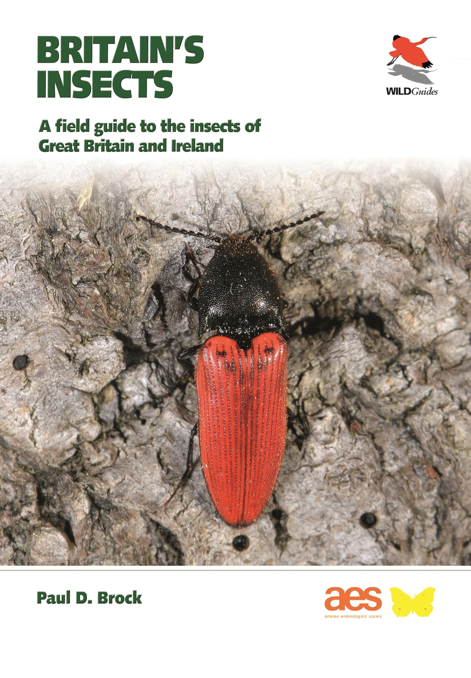 Britain's Insects: A Field Guide to the Insects of Great Britain and Ireland (Wildguides Britain's Wildlife) Mathematics