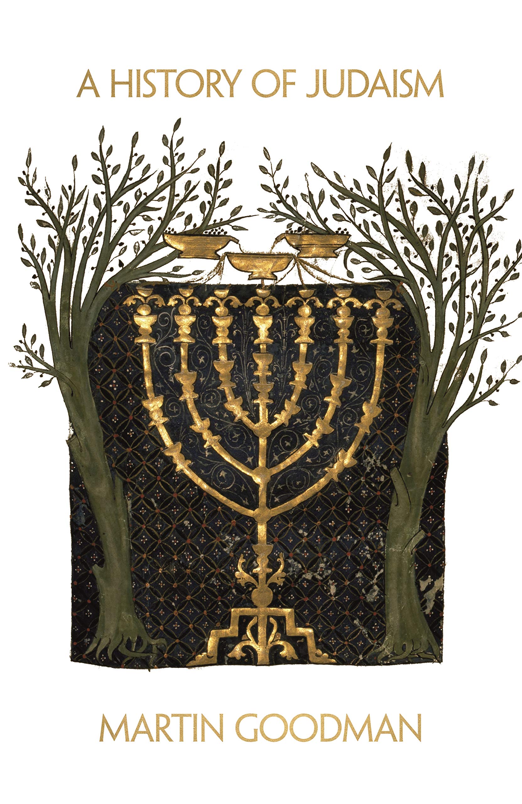 A History of Judaism book