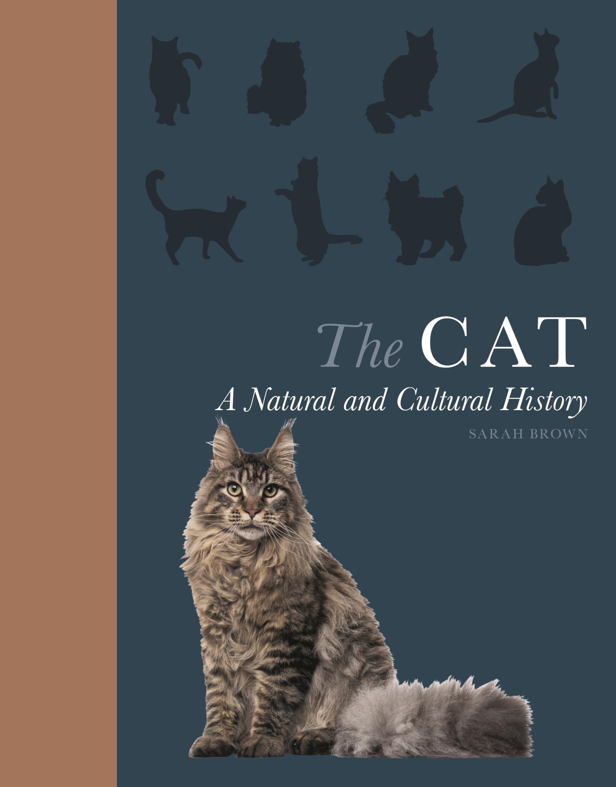 The Cat: A Natural and Cultural History Mathematics