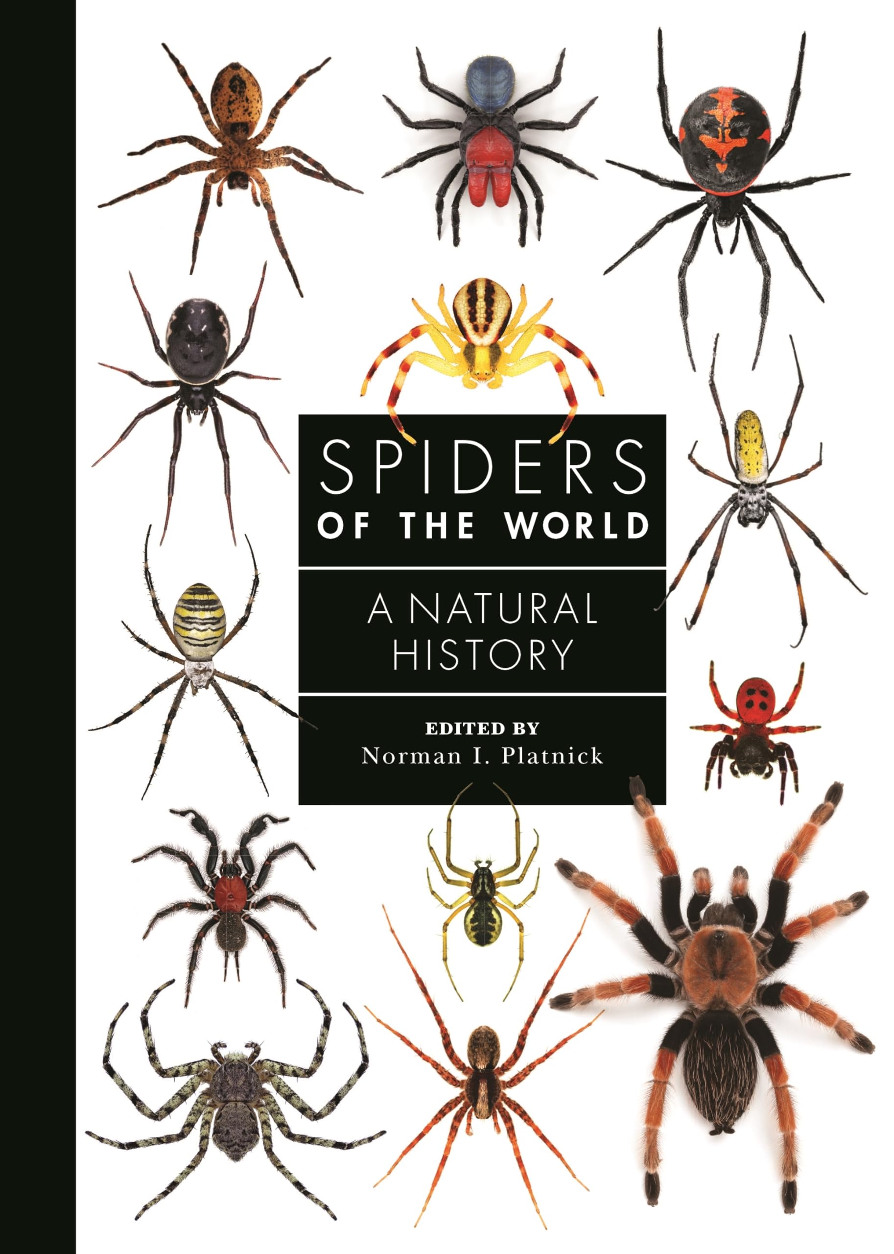 Spiders of the World: A Natural History (Guide to Every Family) Mathematics