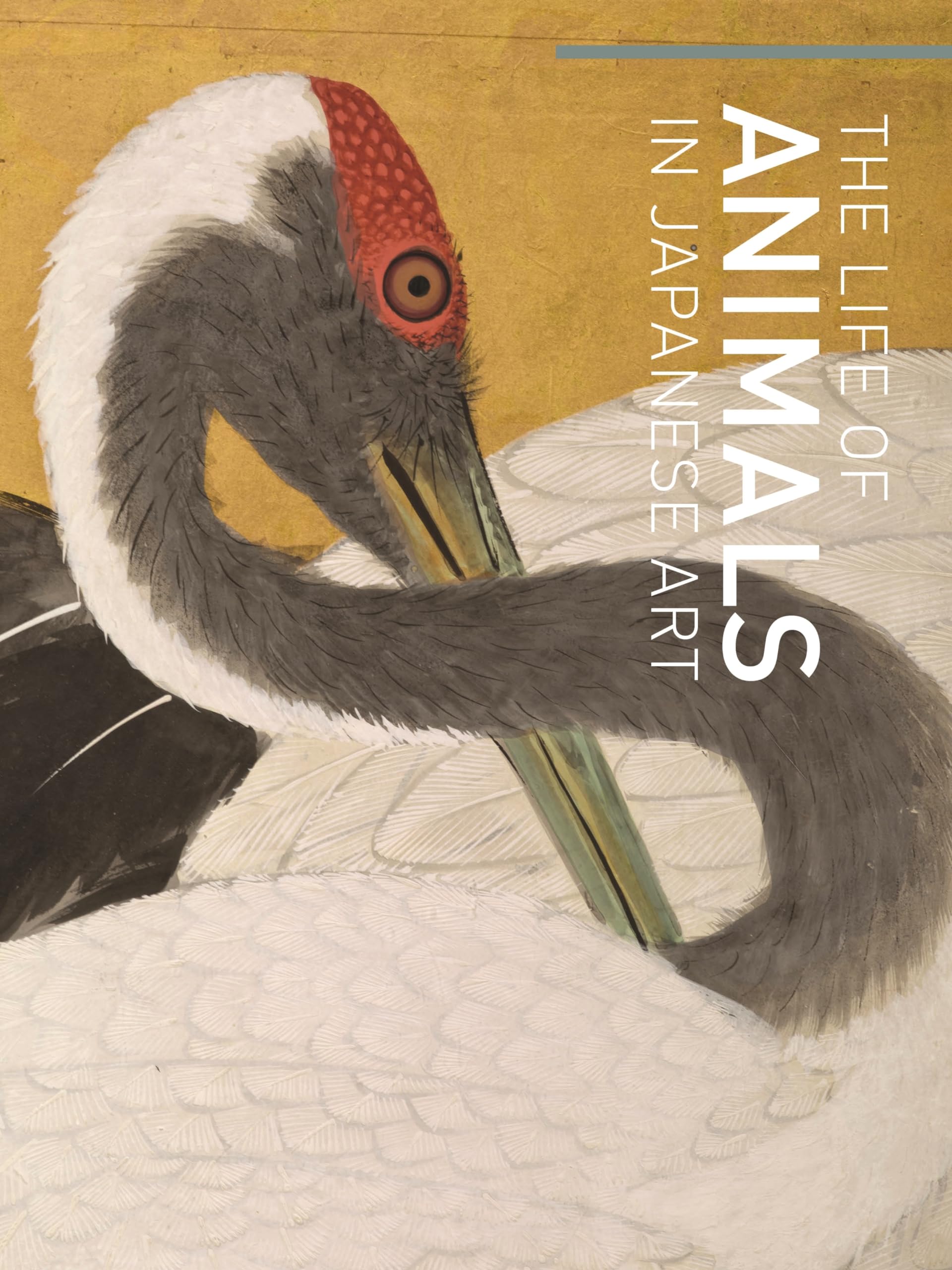 The Life of Animals in Japanese Art Film, Art & Culture