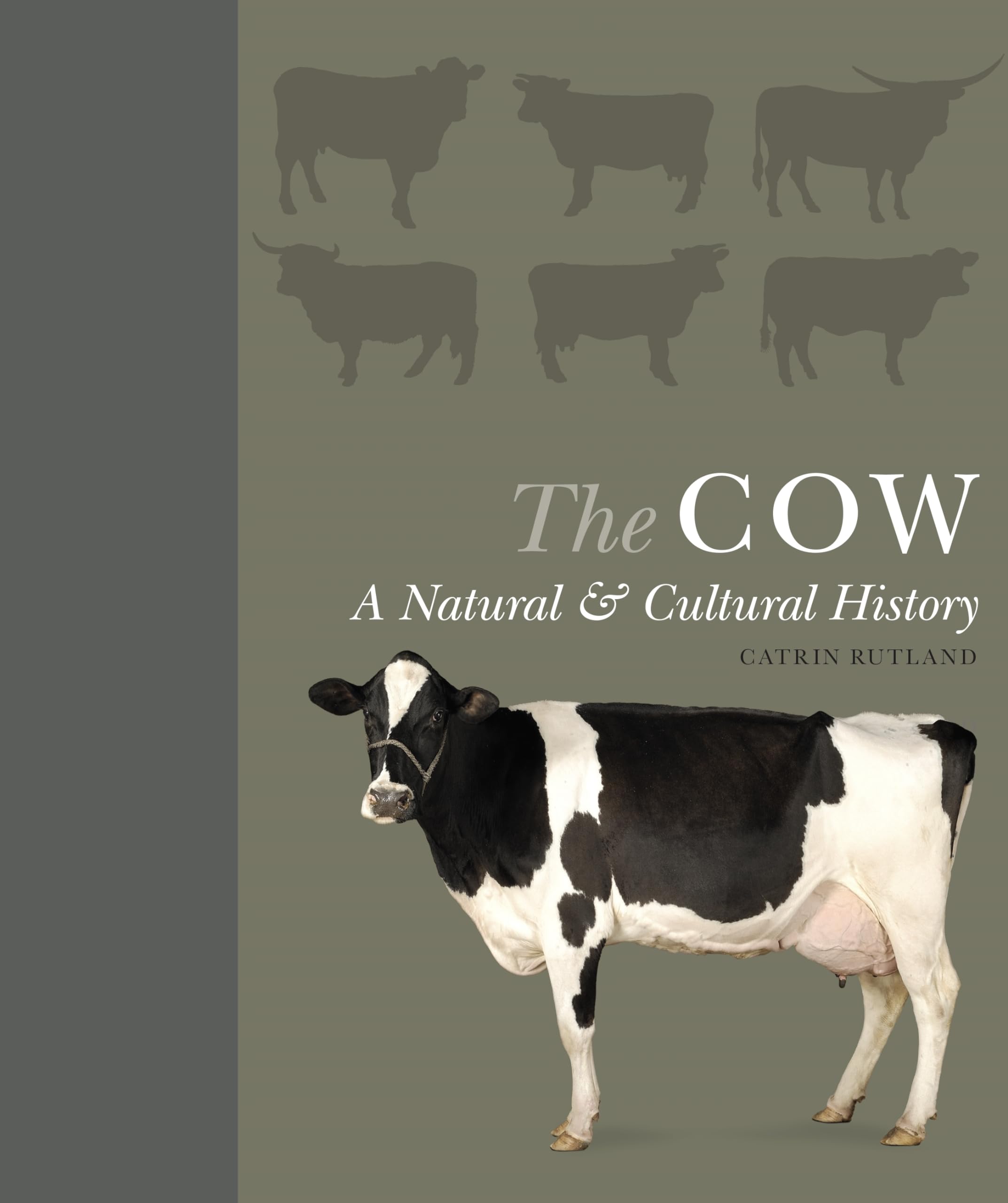 The Cow: A Natural and Cultural History Mathematics