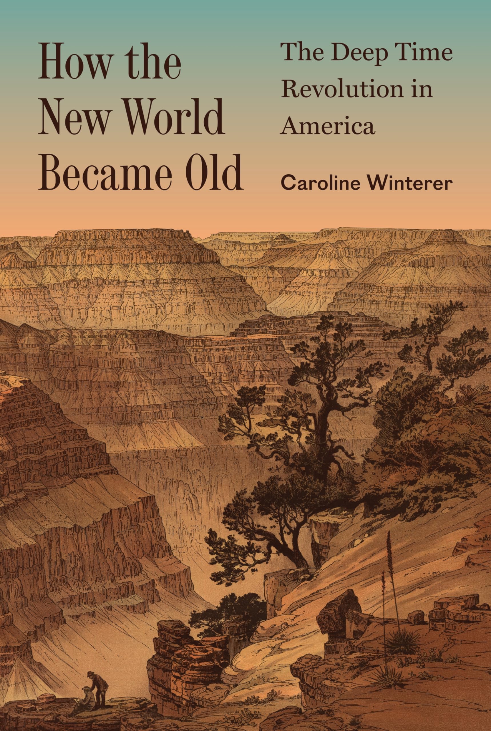 How the New World Became Old: The Deep Time Revolution in America (Princeton Modern Knowledge) Business & Technology