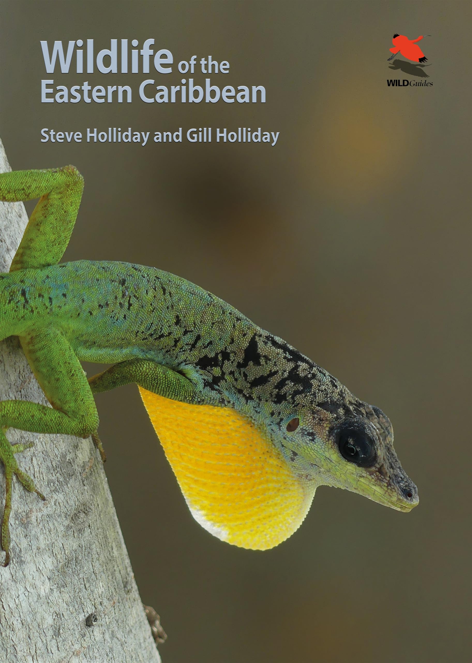 Wildlife of the Eastern Caribbean (Wildlife Explorer Guides) Mathematics