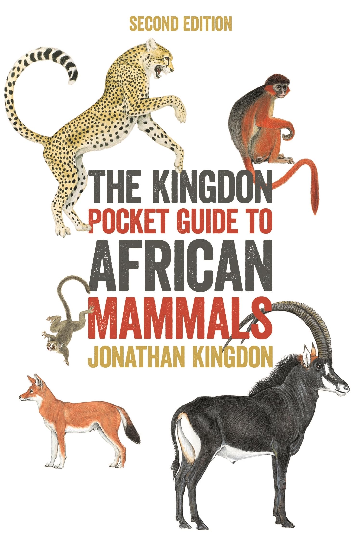 The Kingdon Pocket Guide to African Mammals: Second Edition (Princeton Pocket Guides) Mathematics