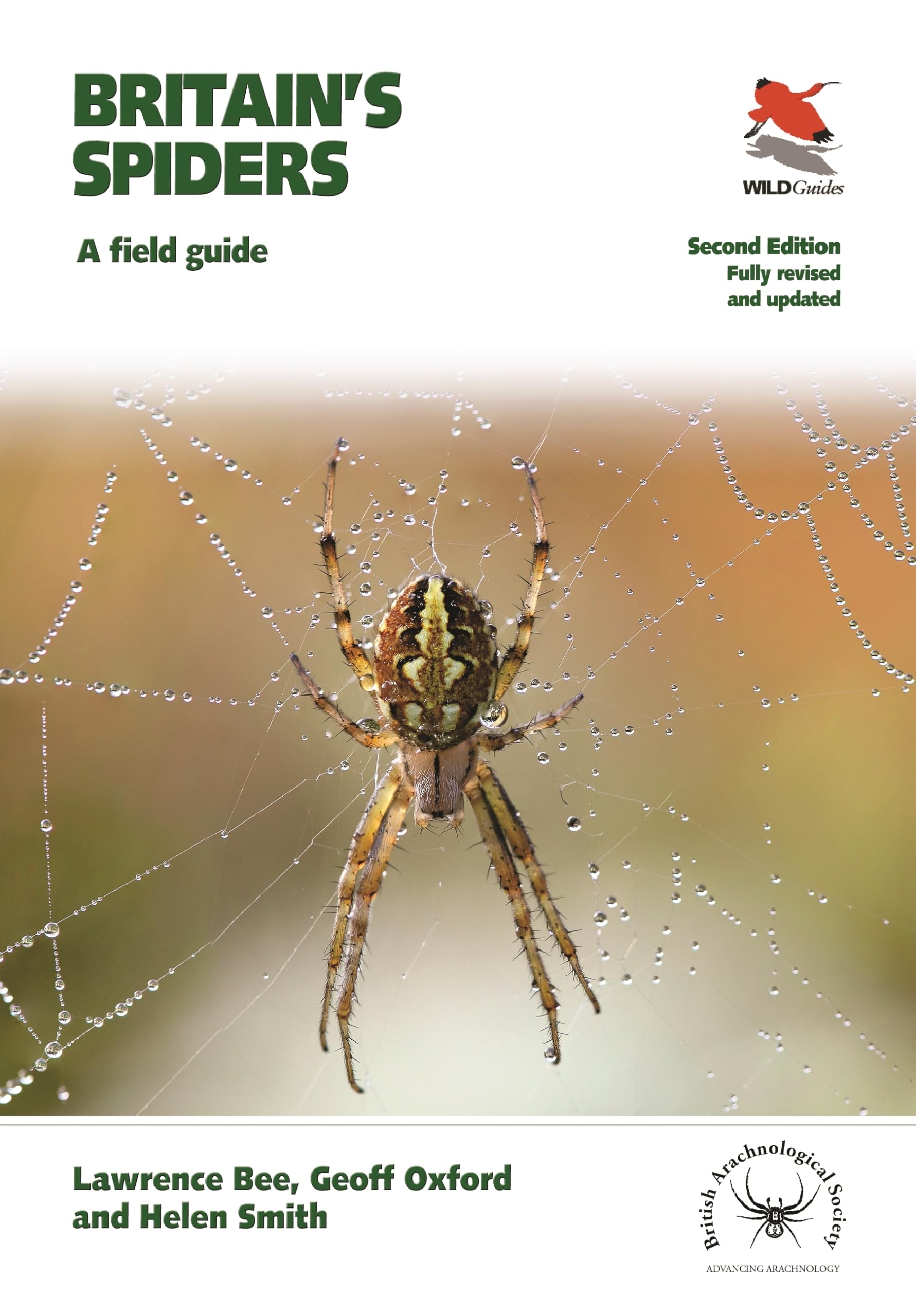 Britain's Spiders: A Field Guide - Fully Revised and Updated Second Edition (Wildguides: Britain's Wildlife) Mathematics
