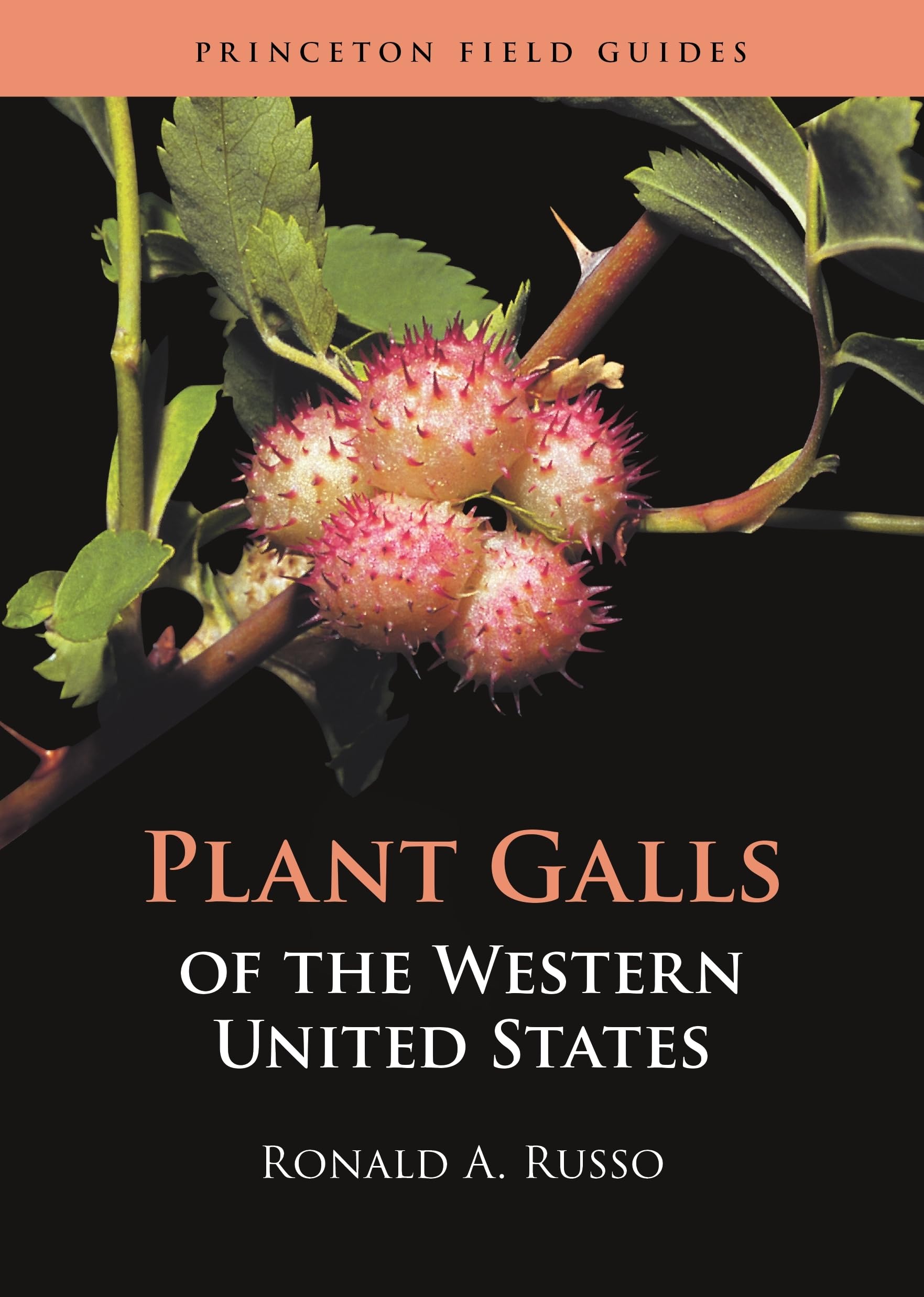 Plant Galls of the Western United States (Princeton Field Guides, Band 149) Mathematics