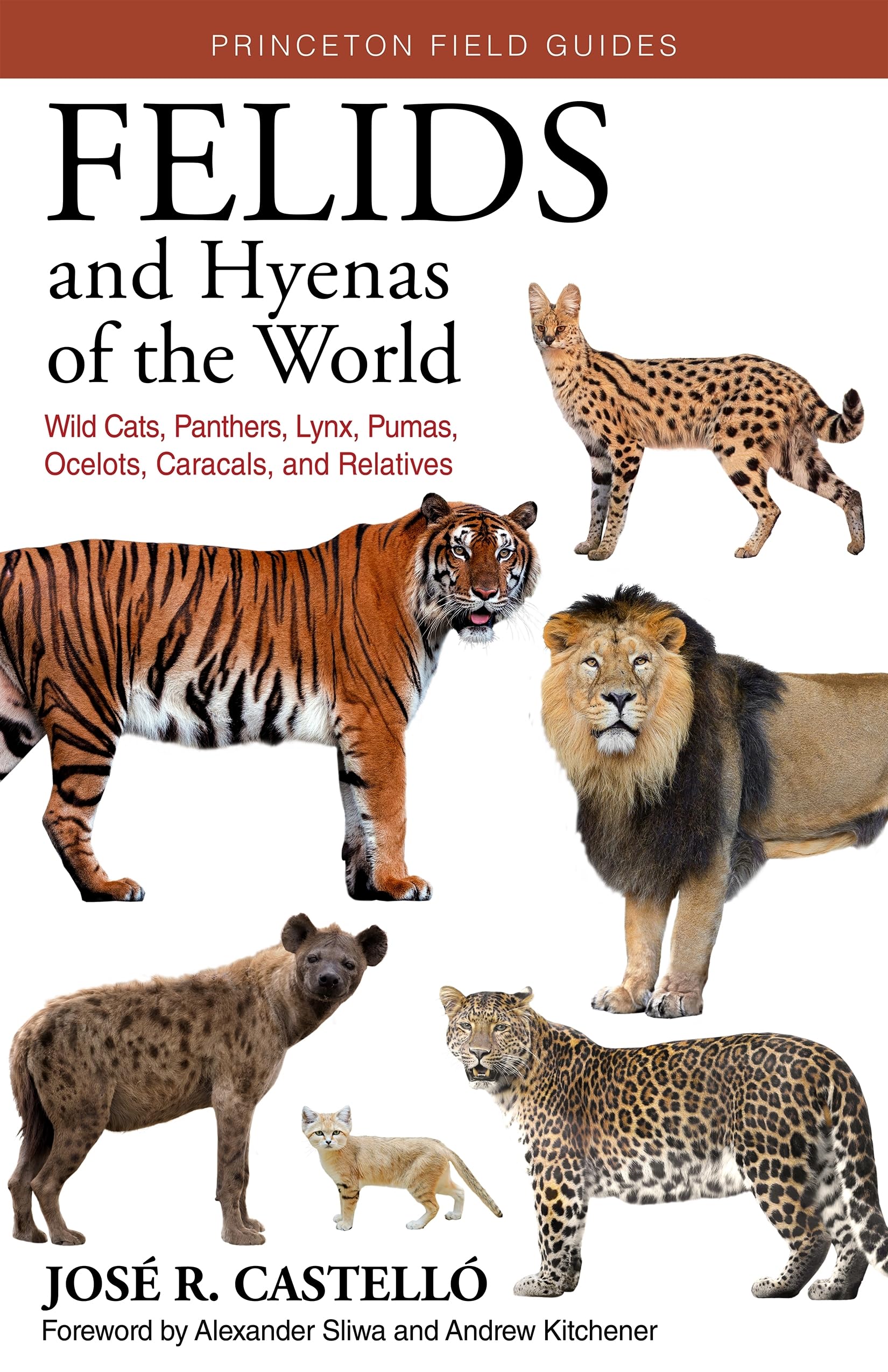 Felids and Hyenas of the World book