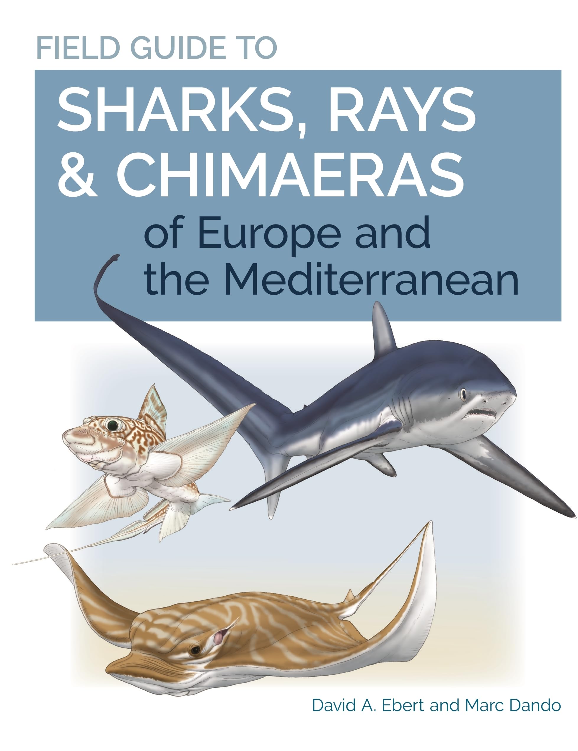 Field Guide to Sharks, Rays & Chimaeras of Europe and the Mediterranean (Wild Nature Press) Mathematics