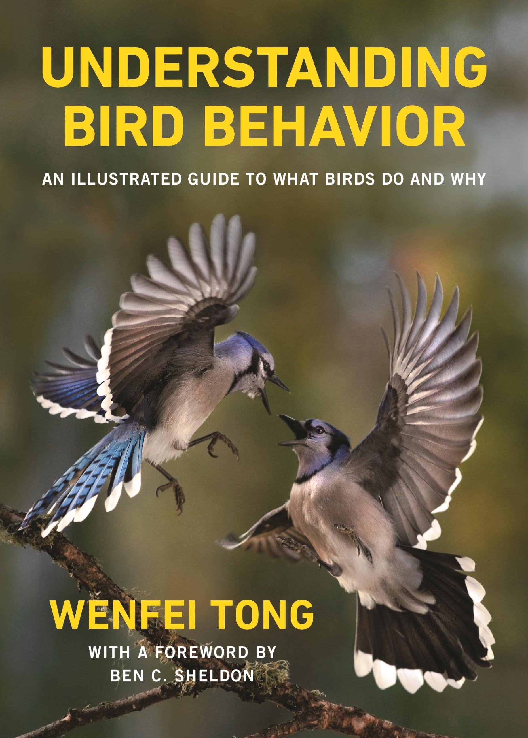 Understanding Bird Behavior: An Illustrated Guide to What They Do and Why: An Illustrated Guide to What Birds Do and Why Mathematics