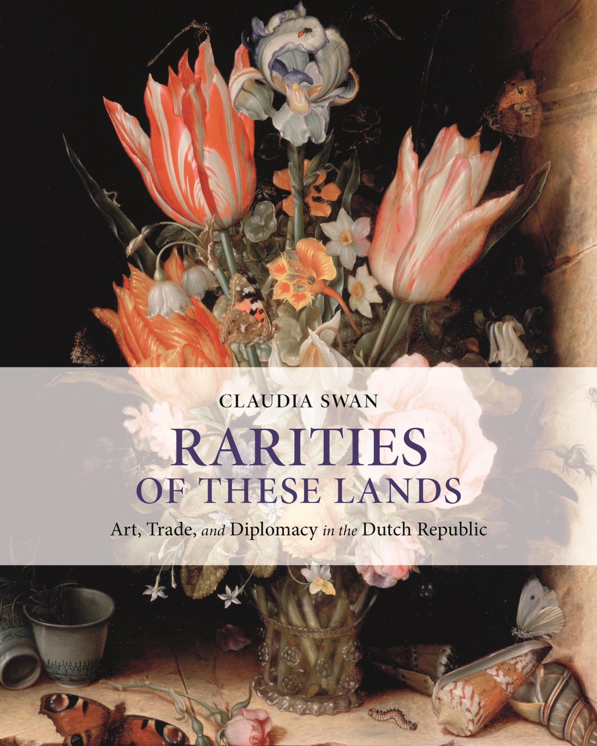 Rarities of These Lands - Art, Trade, and Diplomacy in the Dutch Republic Film, Art & Culture