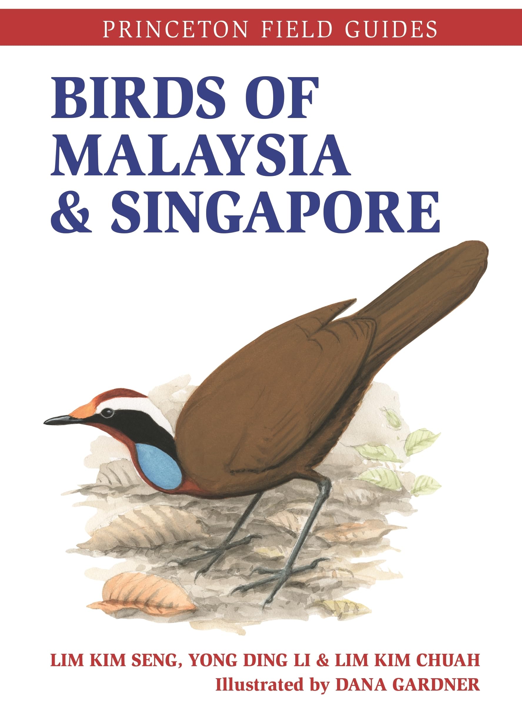 Birds of Malaysia and Singapore (Princeton Field Guides) Leisure, Home & Garden