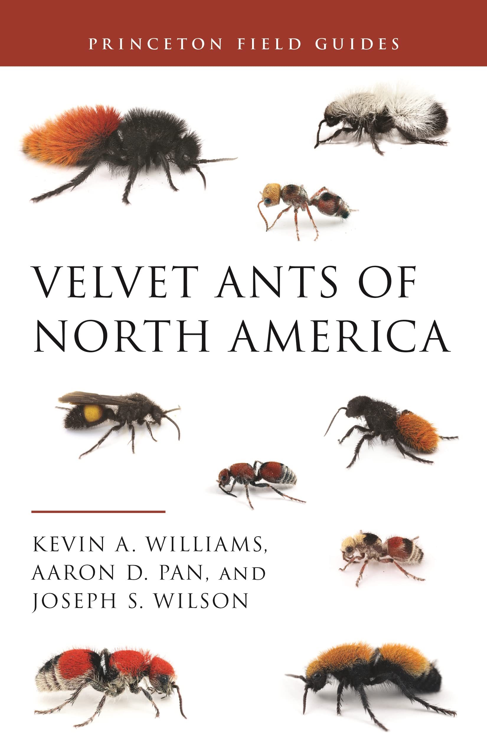 Velvet Ants of North America (Princeton Field Guides) Mathematics