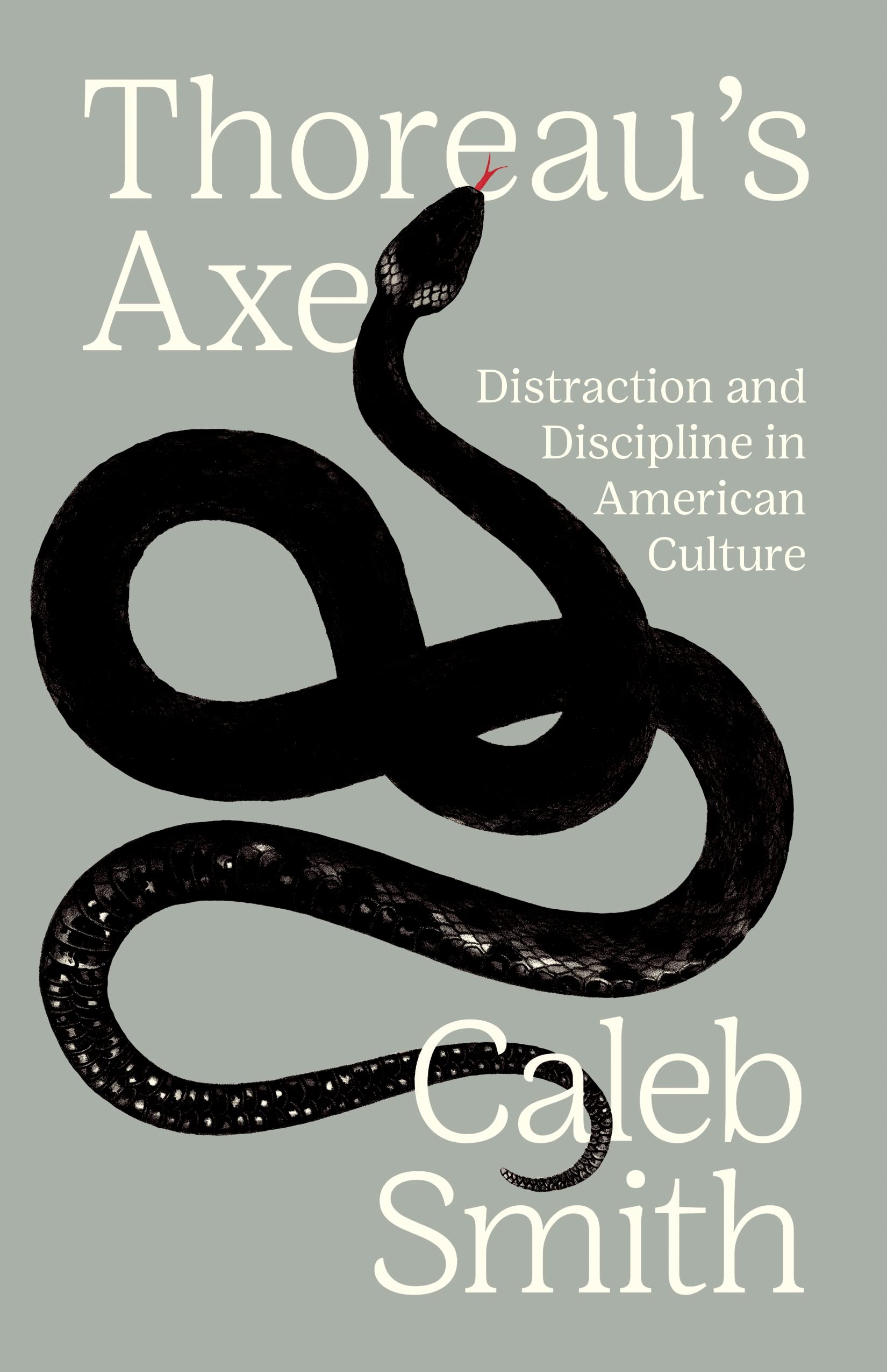 Thoreau's Axe: Distraction and Discipline in American Culture Media & Communication