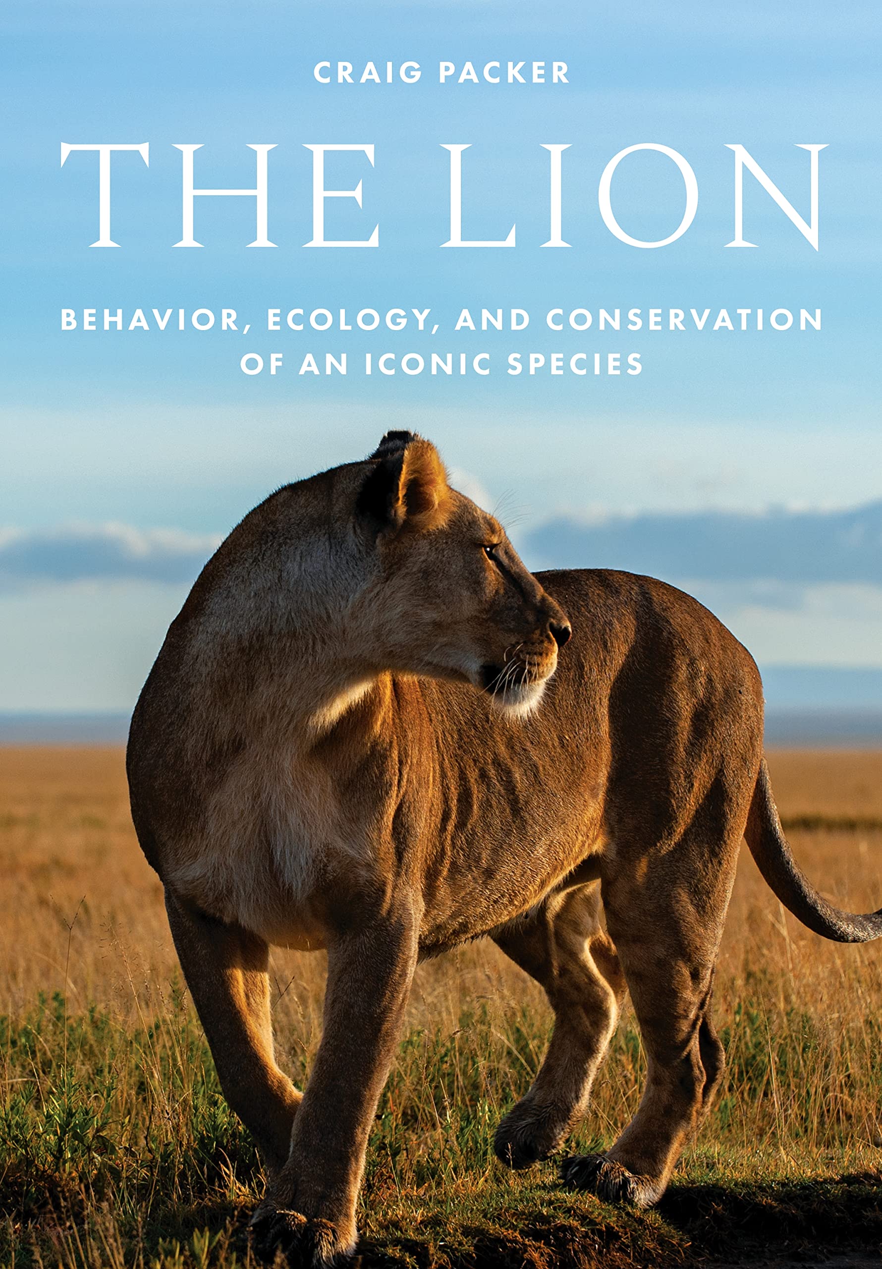 The Lion: Behavior, Ecology, and Conservation of an Iconic Species Mathematics