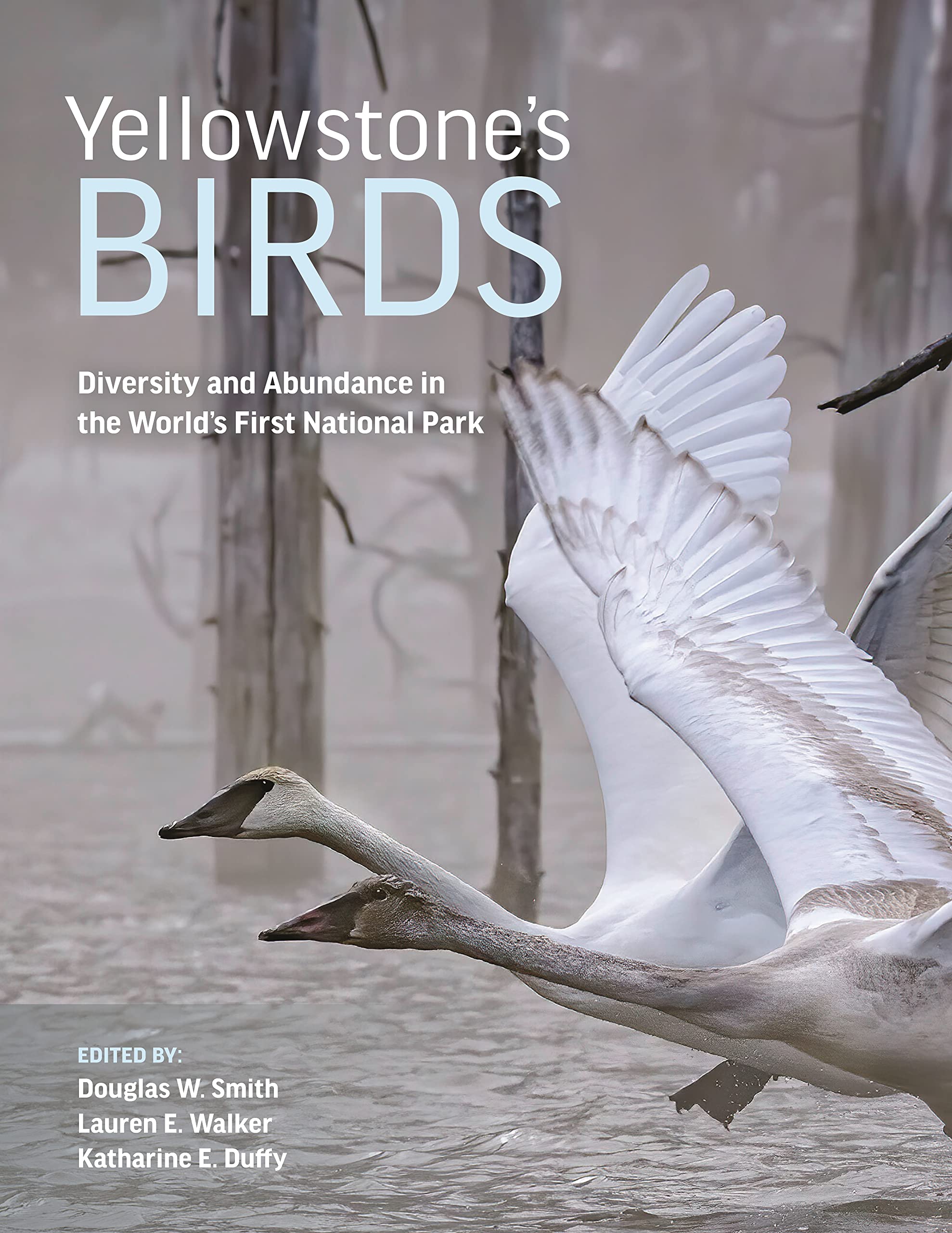 Yellowstone’s Birds: Diversity and Abundance in the World’s First National Park Mathematics