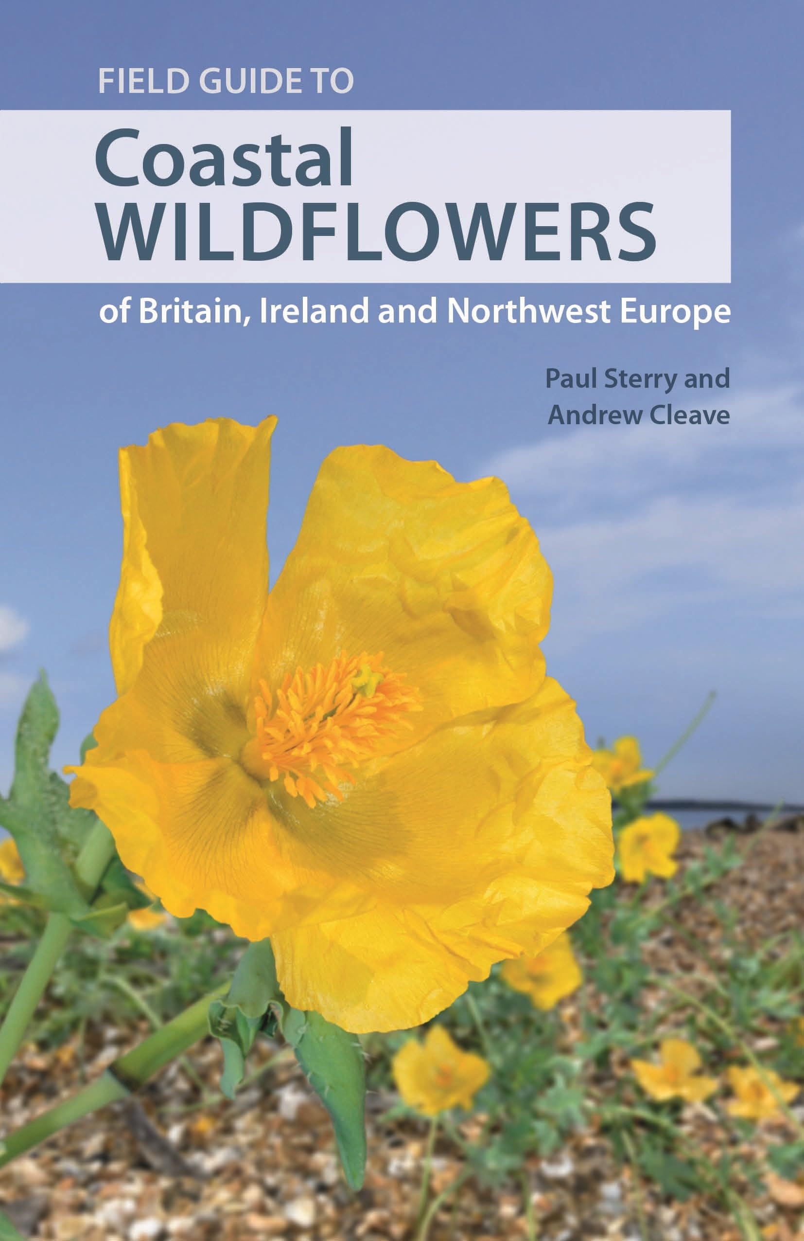 Field Guide to Coastal Wildflowers of Britain, Ireland and Northwest Europe: A Field Guide (Wild Nature Press) Mathematics