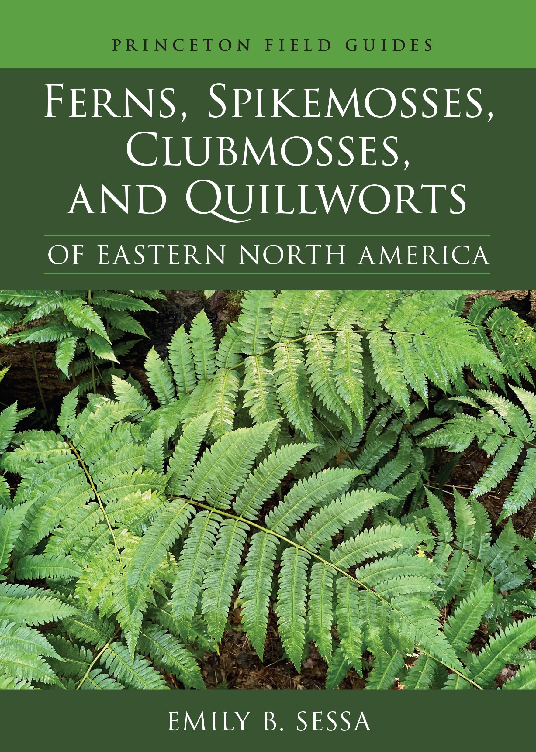 Ferns, Spikemosses, Clubmosses, and Quillworts of Eastern North America (Princeton Field Guides) Mathematics