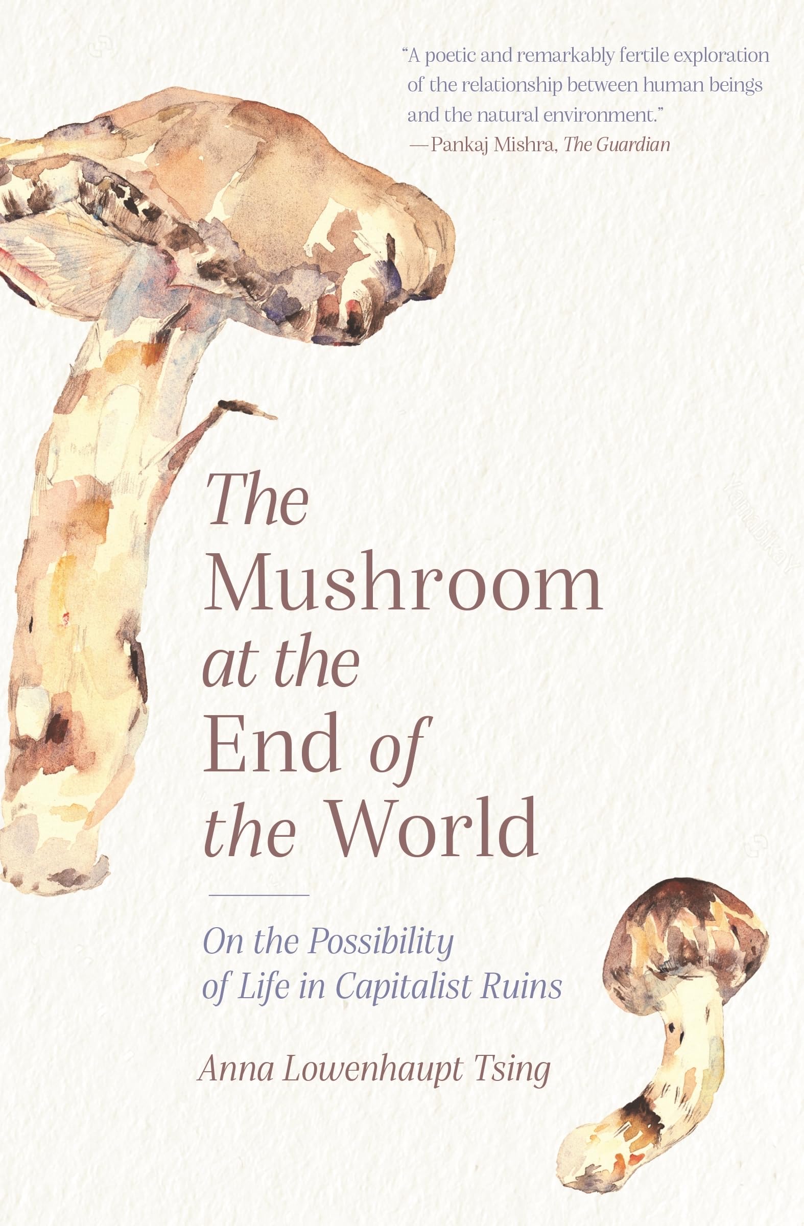 Mushroom at the End of the World: On the Possibility of Life in Capitalist Ruins Law