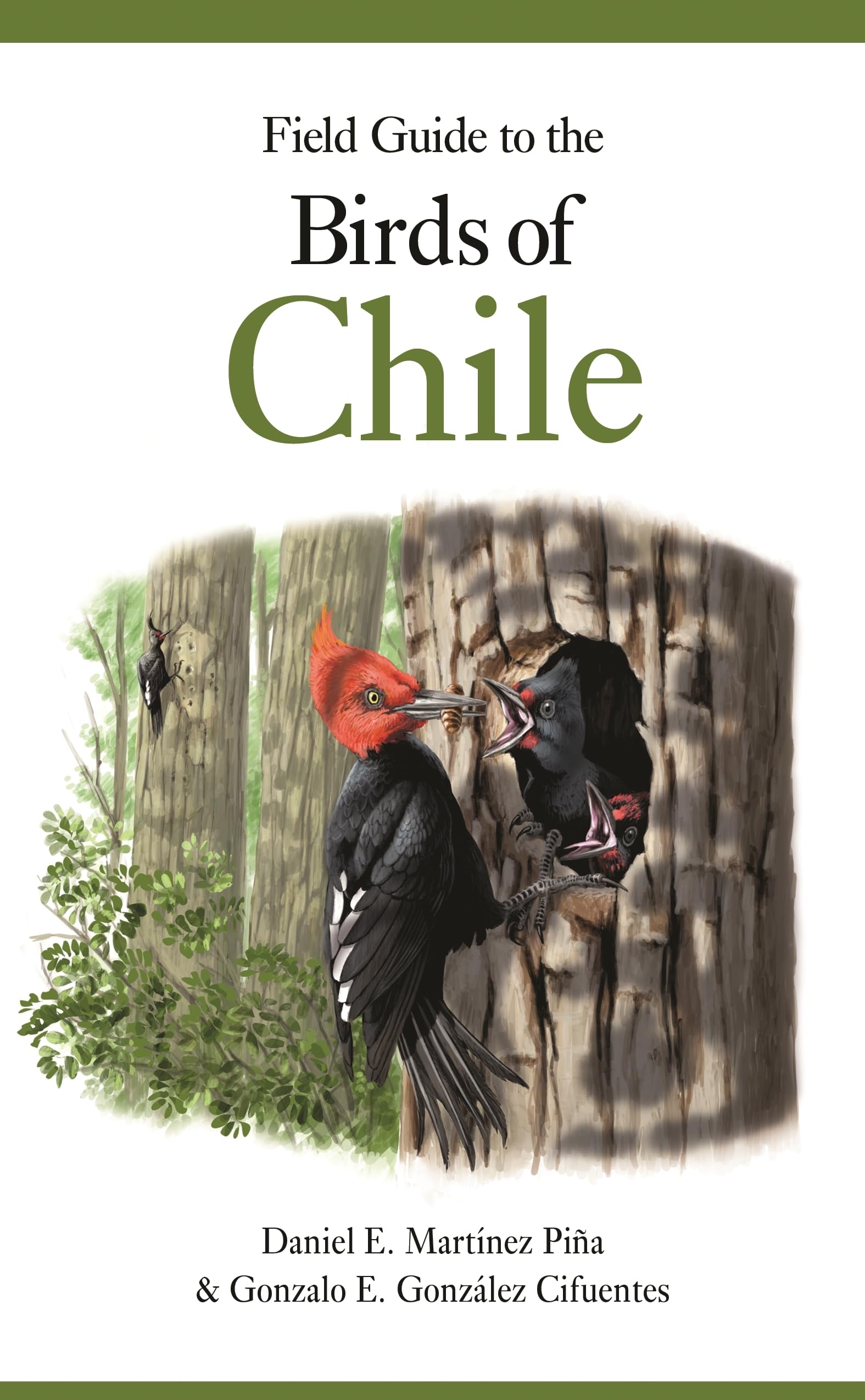 Field Guide to the Birds of Chile Mathematics