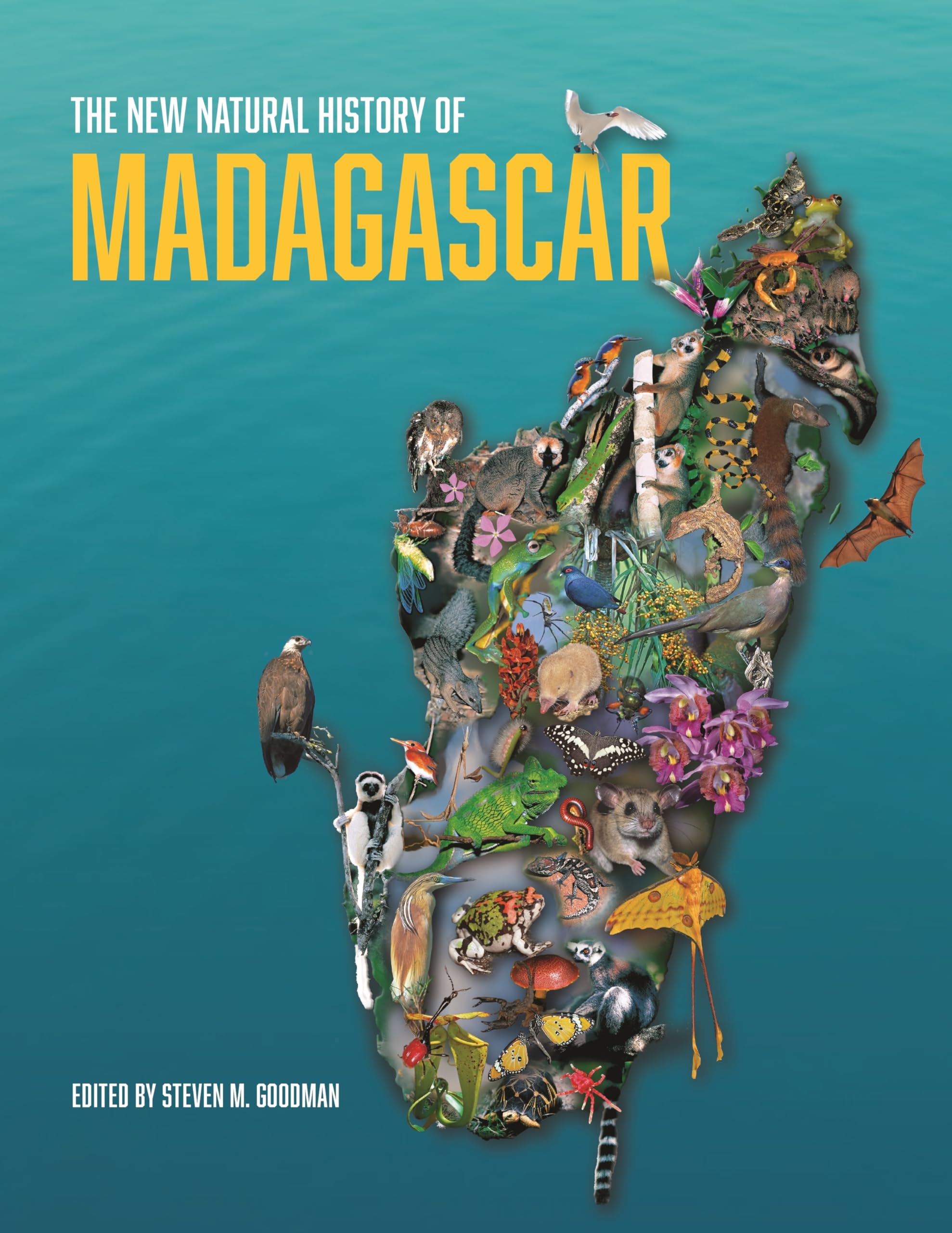 The New Natural History of Madagascar book