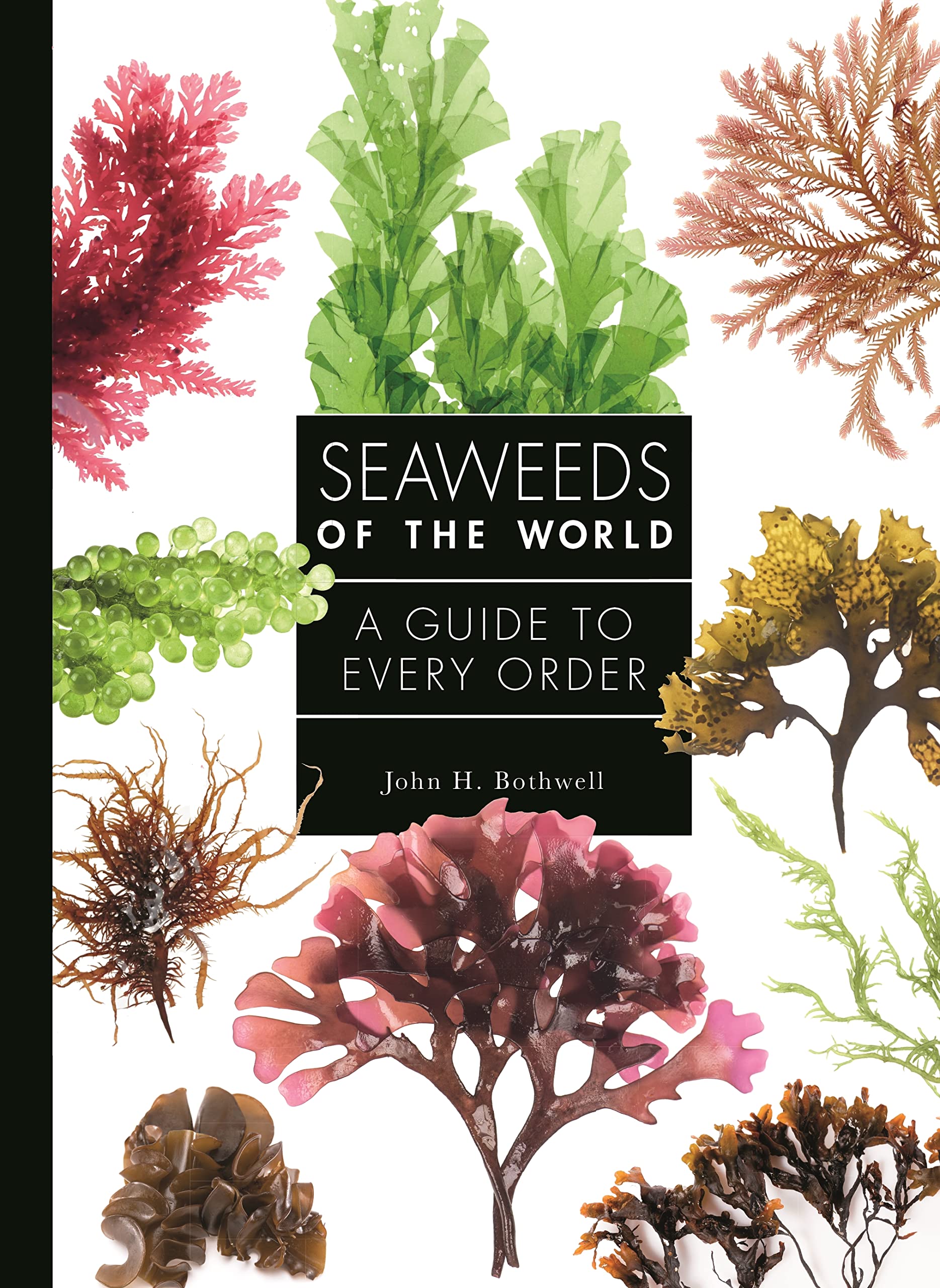 Seaweeds of the World: A Guide to Every Order (Guide to Every Family, 4) Mathematics