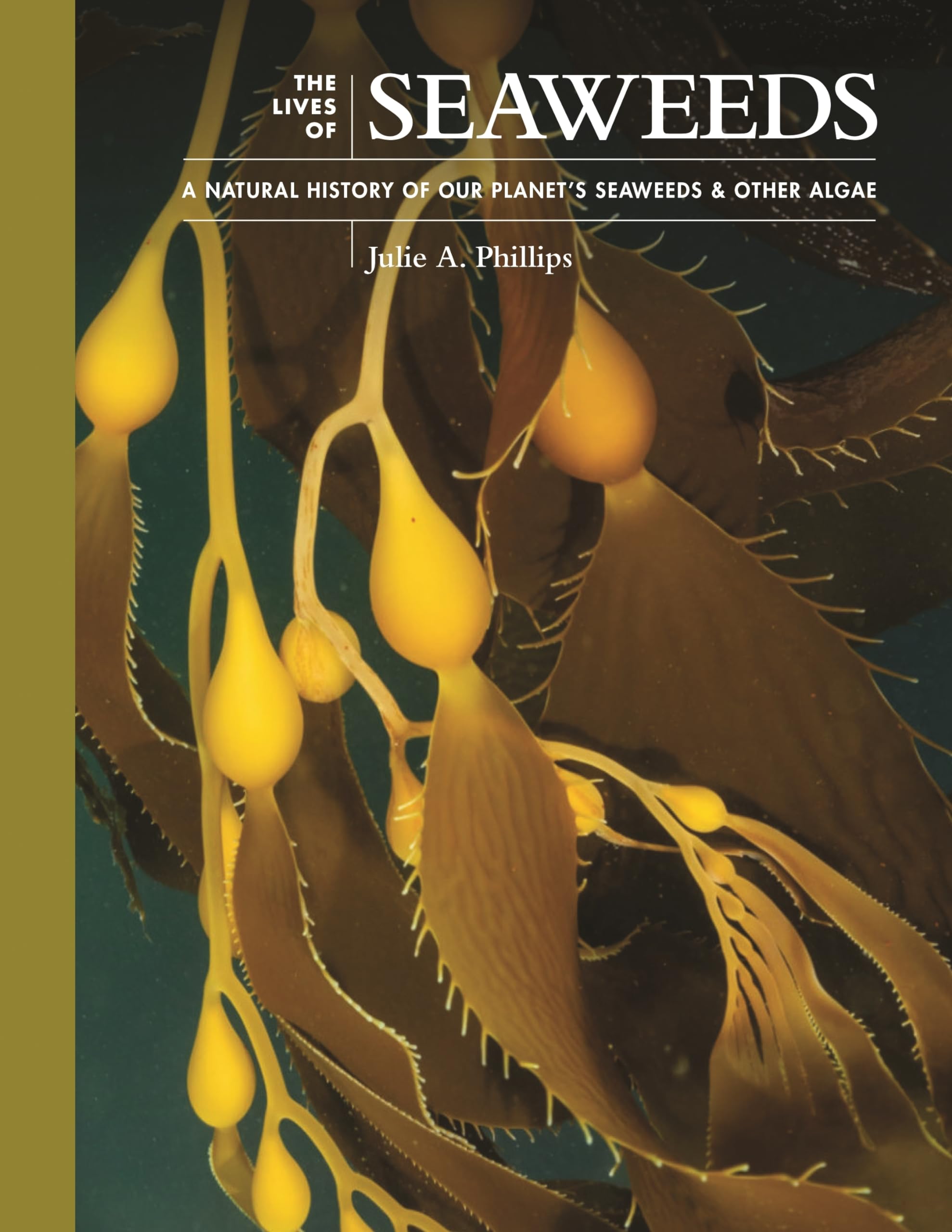 The Lives of Seaweeds: A Natural History of Our Planet's Seaweeds & Other Algae (Lives of the Natural World) Mathematics